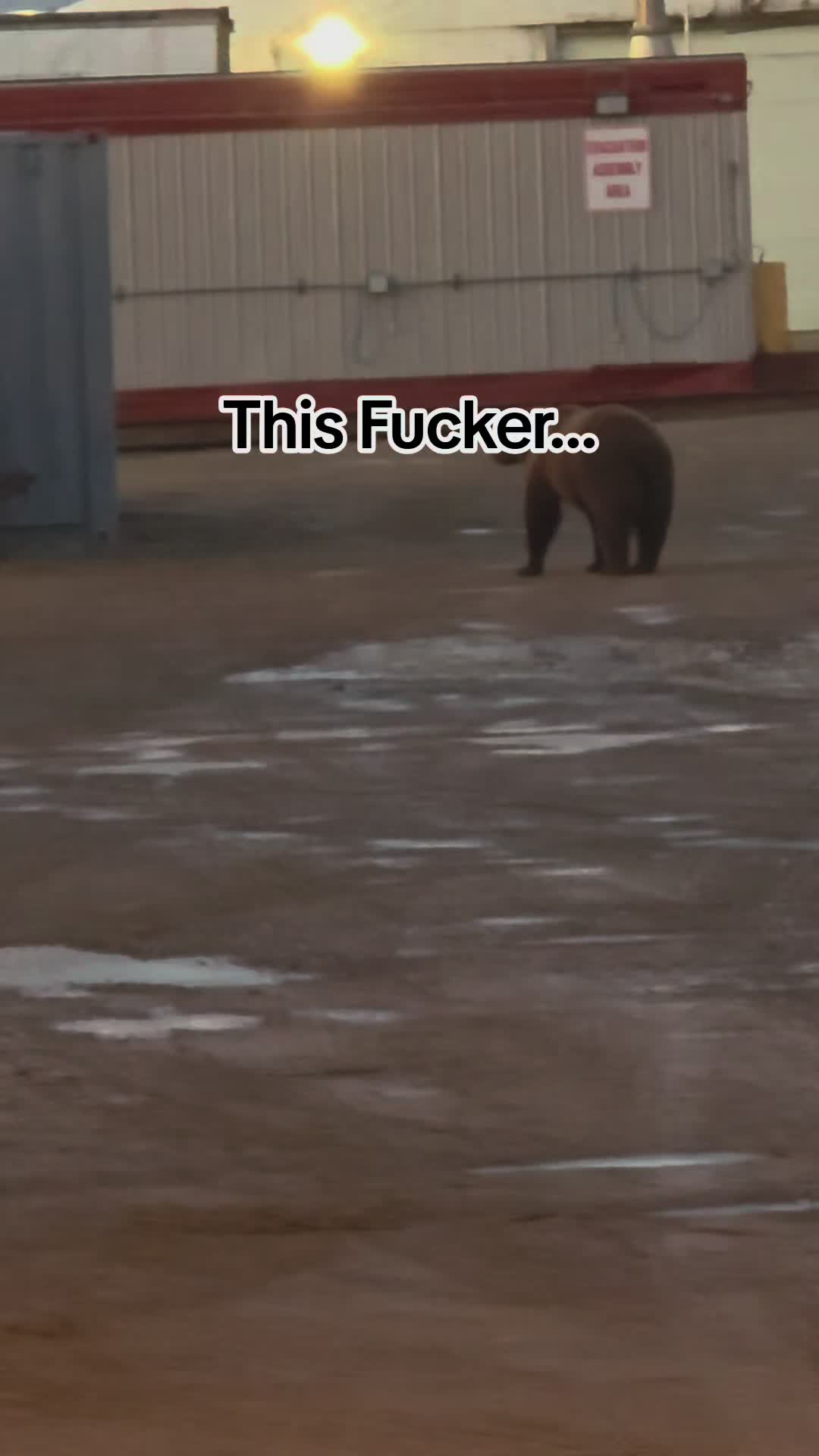 @Deere Dude