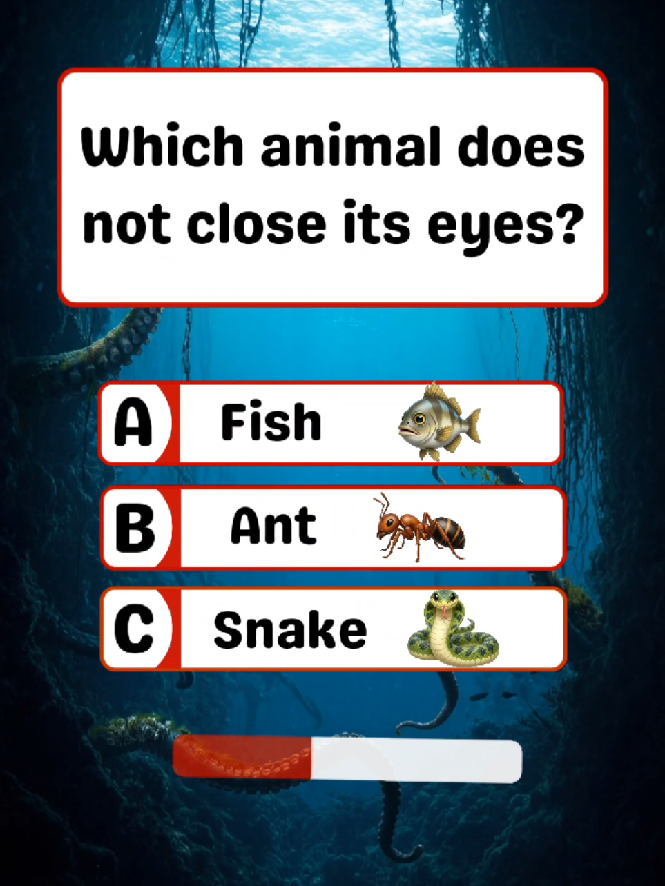 @Quiz Whiz