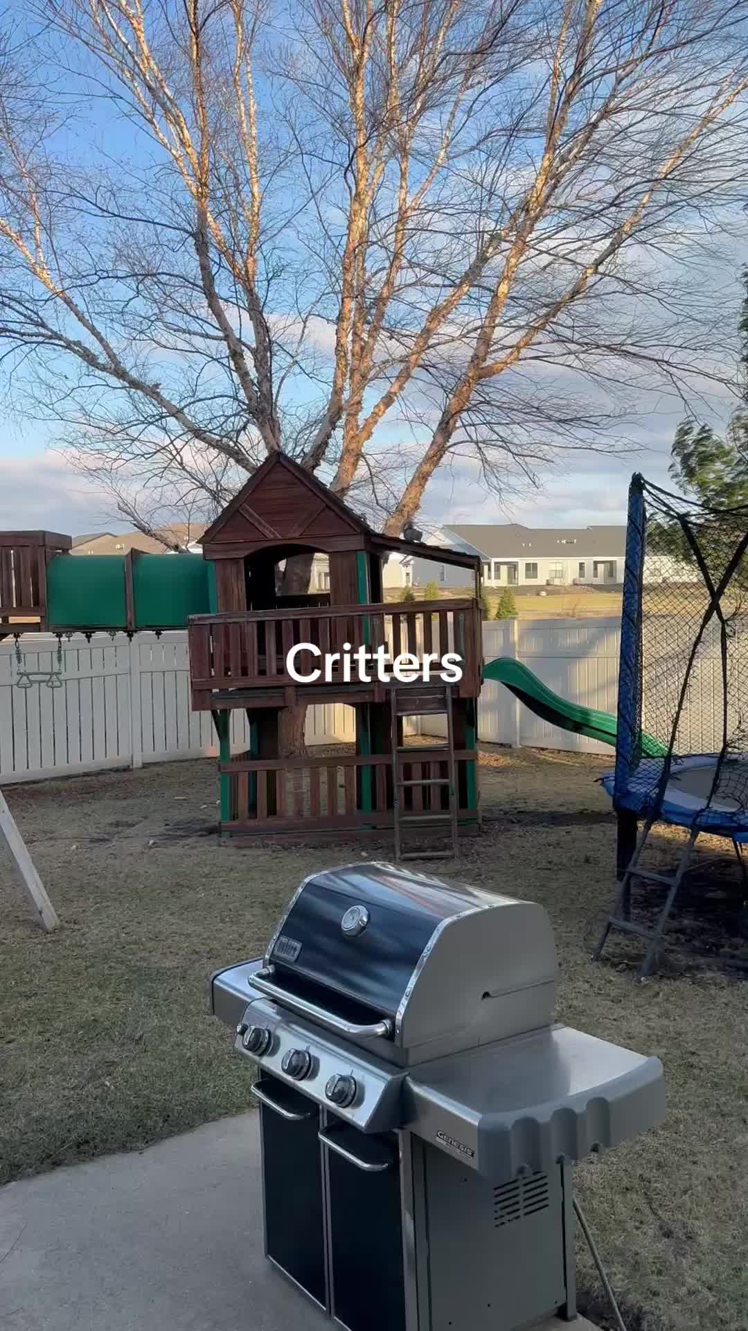 @disneyautismmom