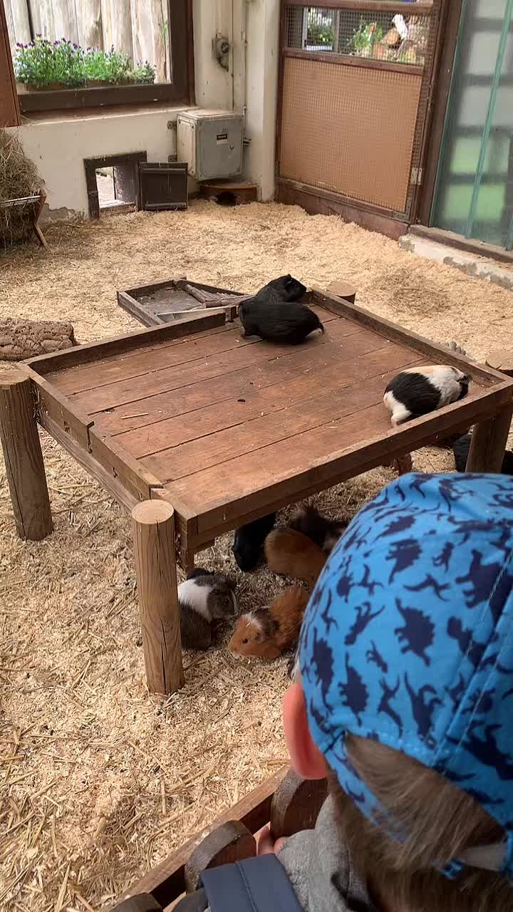 @Ягодка