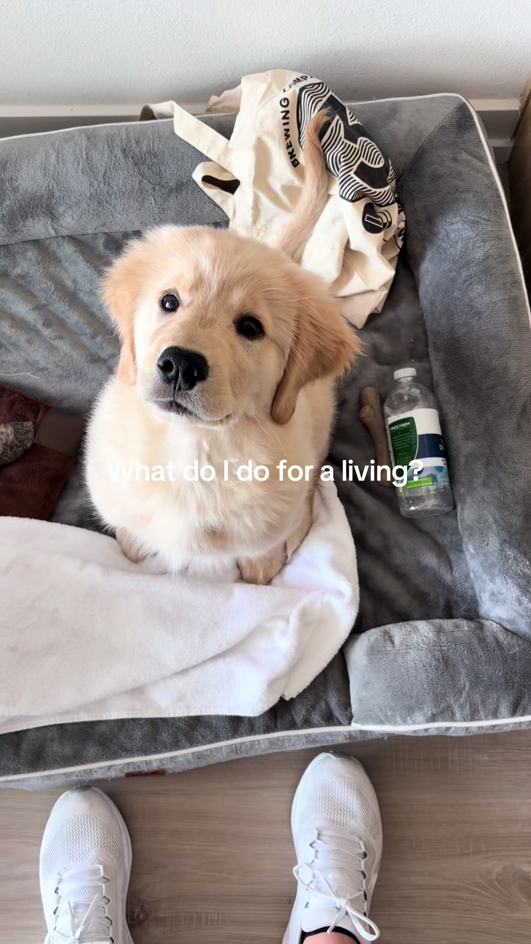 @Luca the Golden