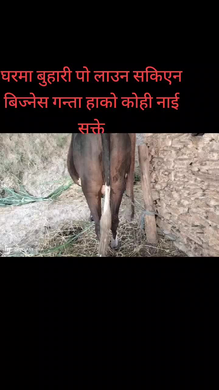 @puskar bhusal