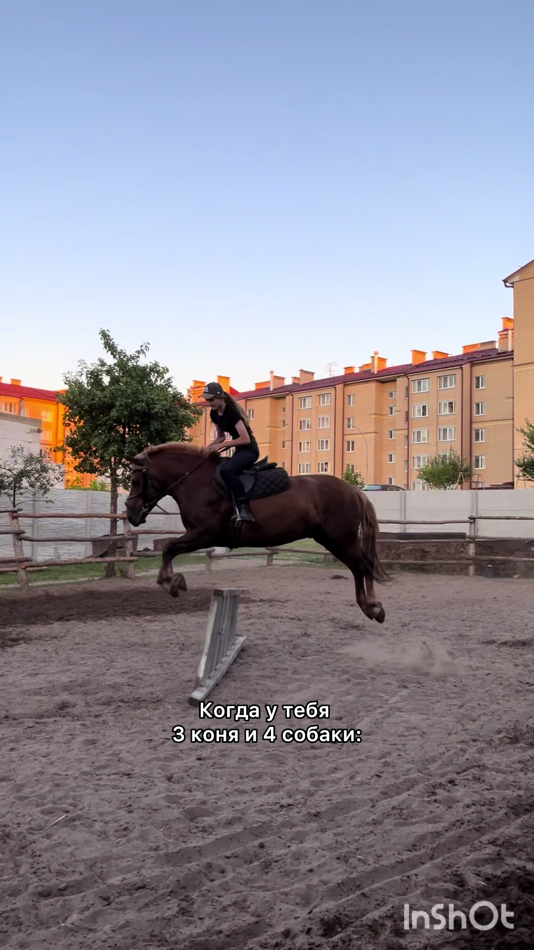 @❗Брест❗ 🐎Конюшня 🐎