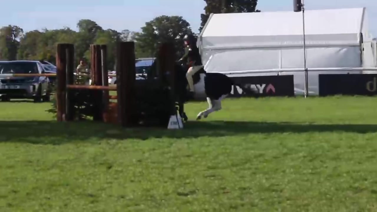 @AAPS_ponys