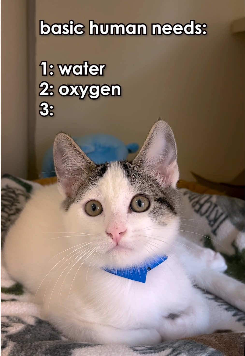 @animalhumanenm
