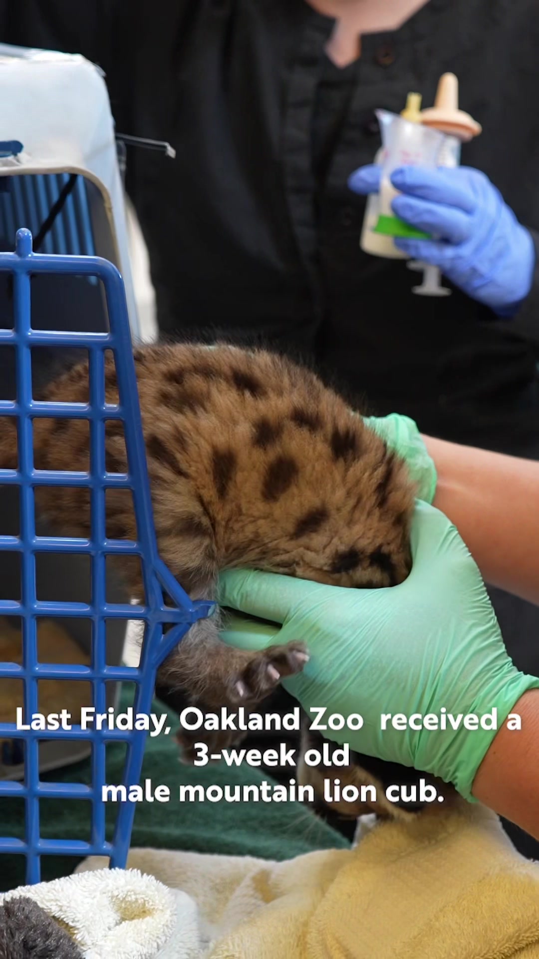 @Oakland Zoo