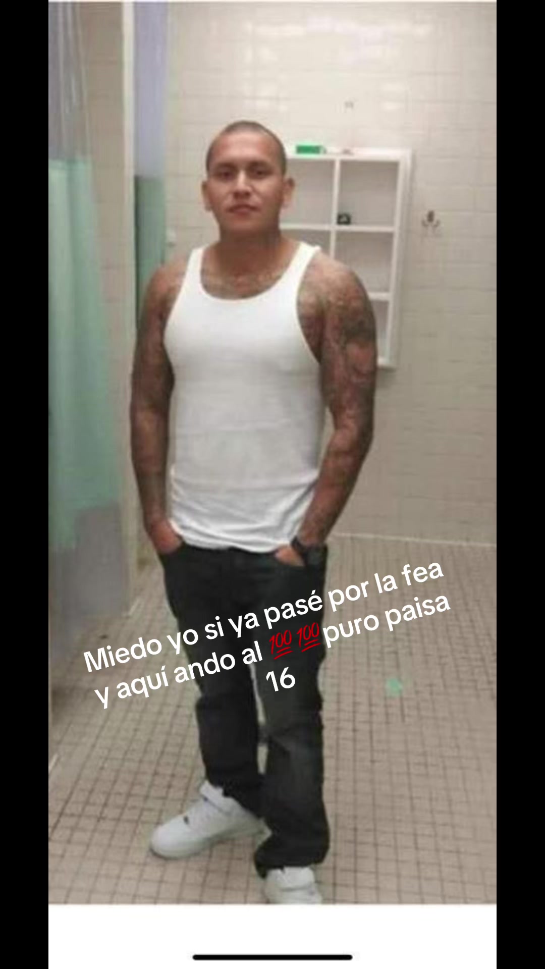 @Wicho7