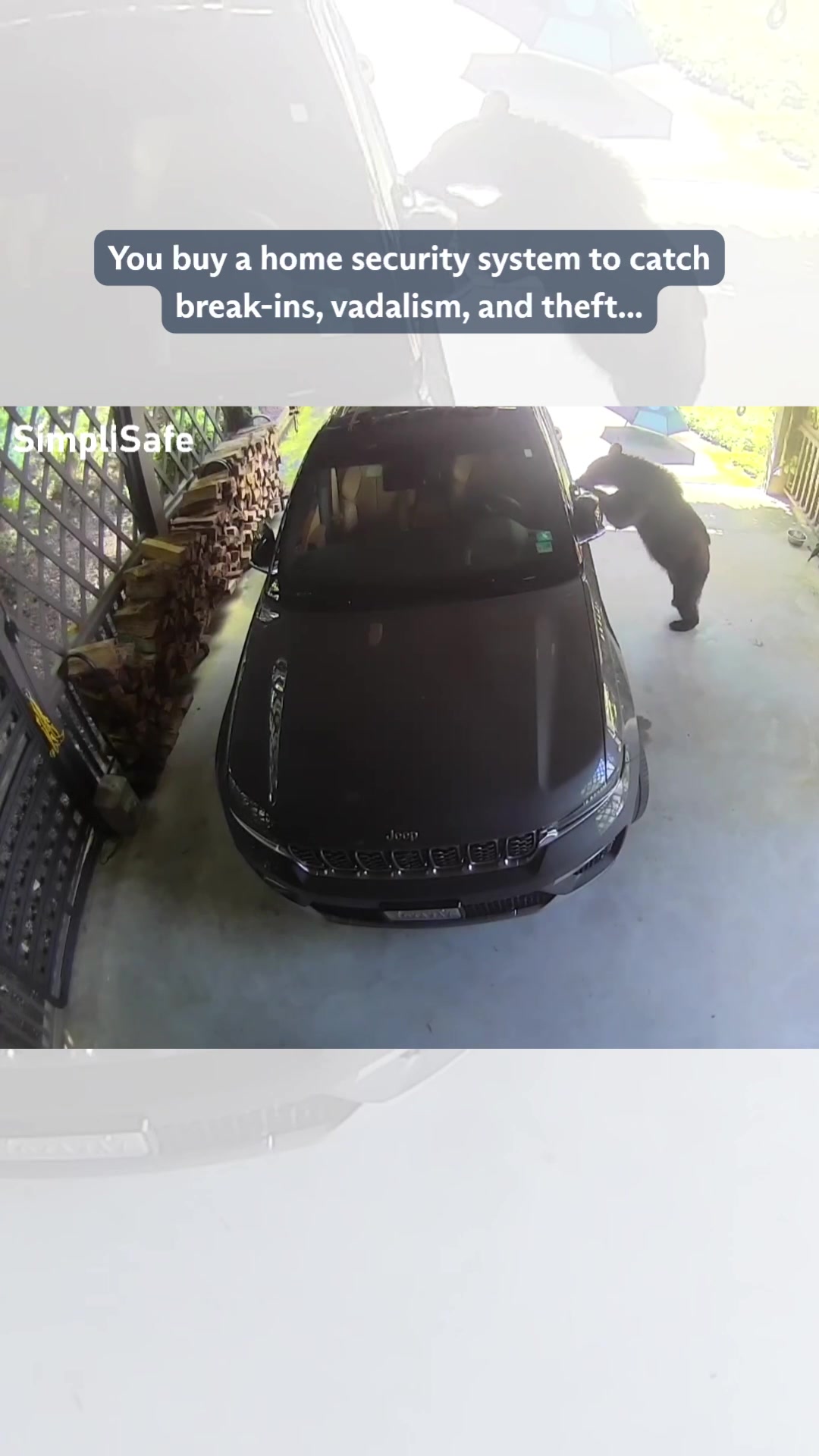 @SimpliSafe Home Security