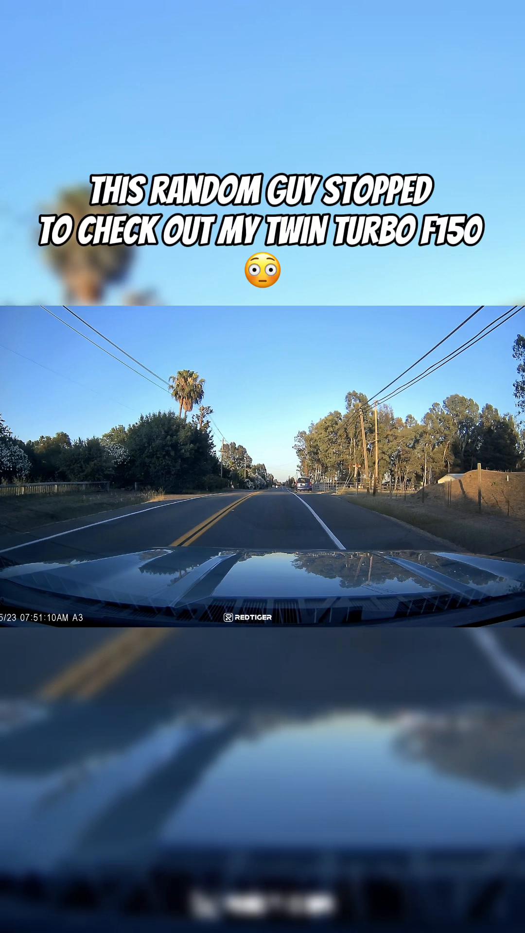 @🐌 🐺