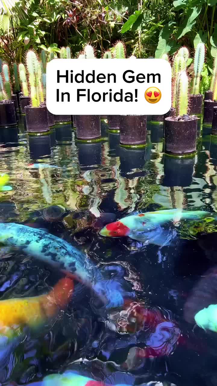 @thefloridaqueenie