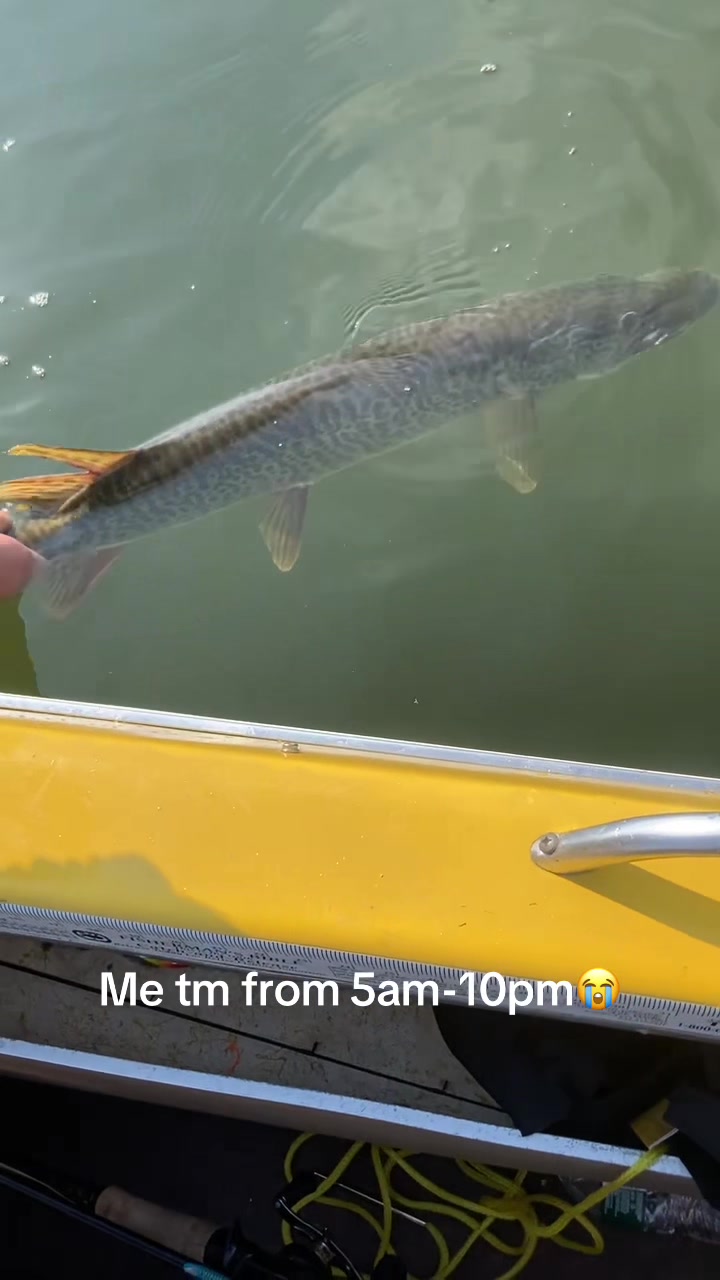 @MinnesotaStoned