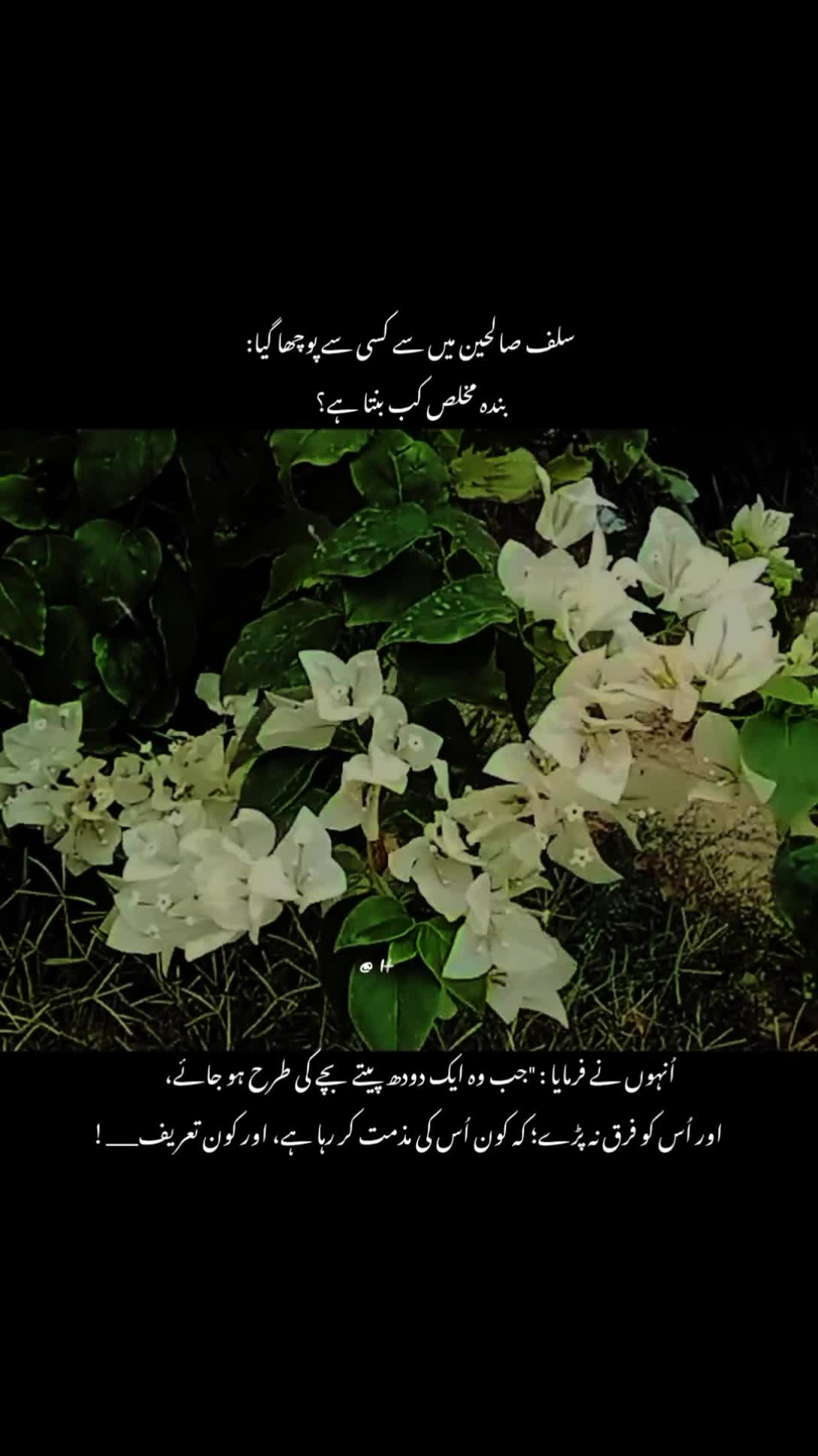 @@poetry