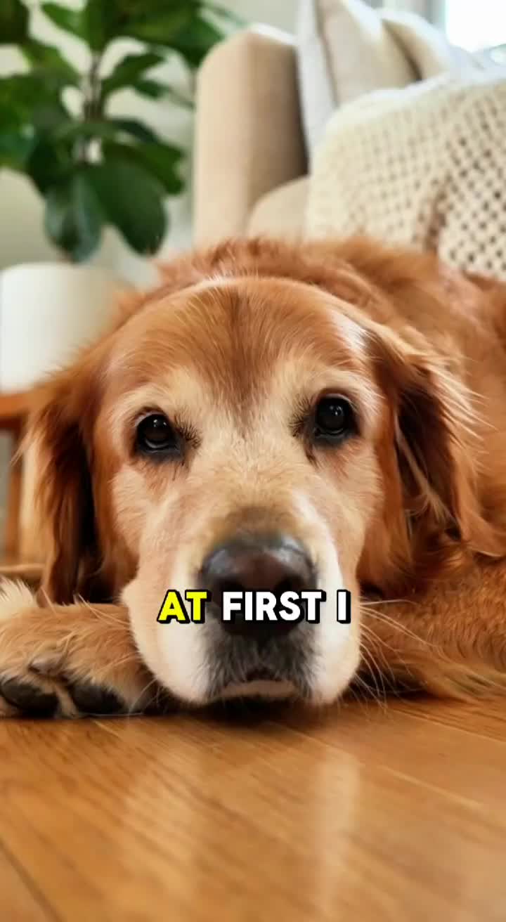 @pawpawchum