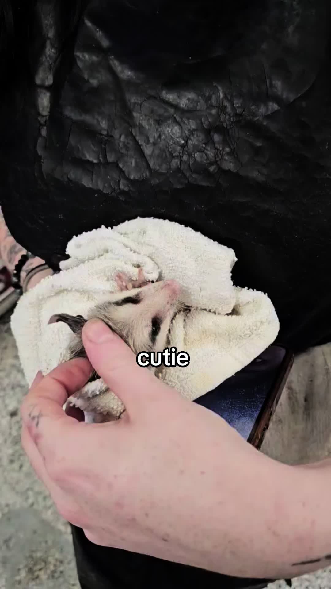 @Abigal
