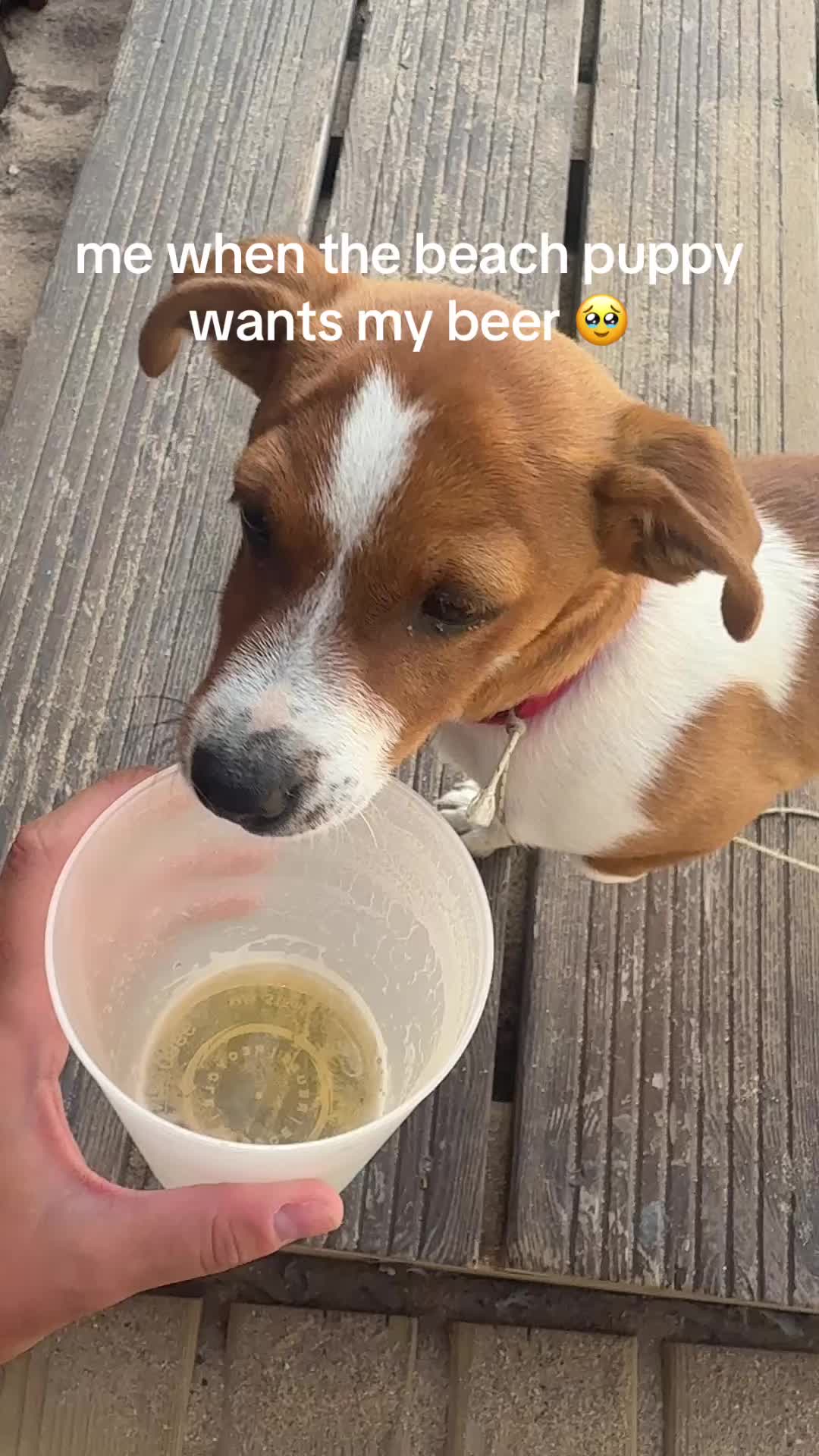 @KYLEEEEE