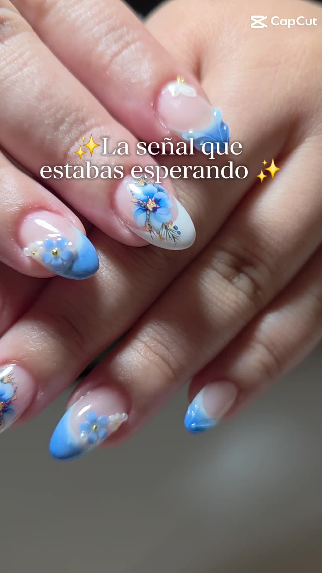 @Nails Art Salazar
