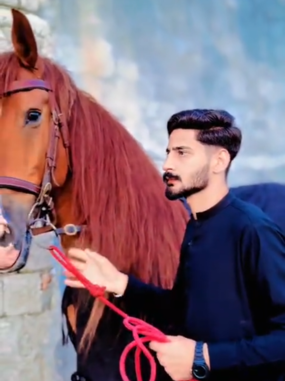 @مرکزی ذوالجناح تلہ گنگ