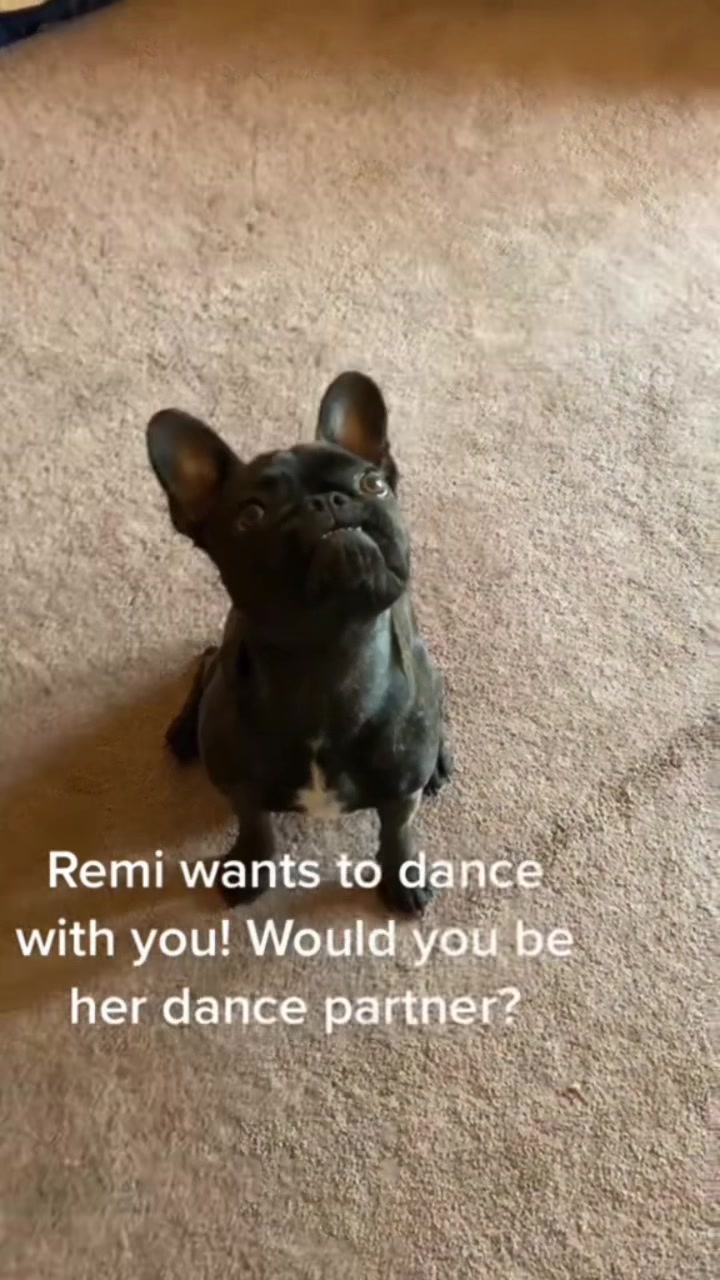 @Laurie’s-remi&delilah