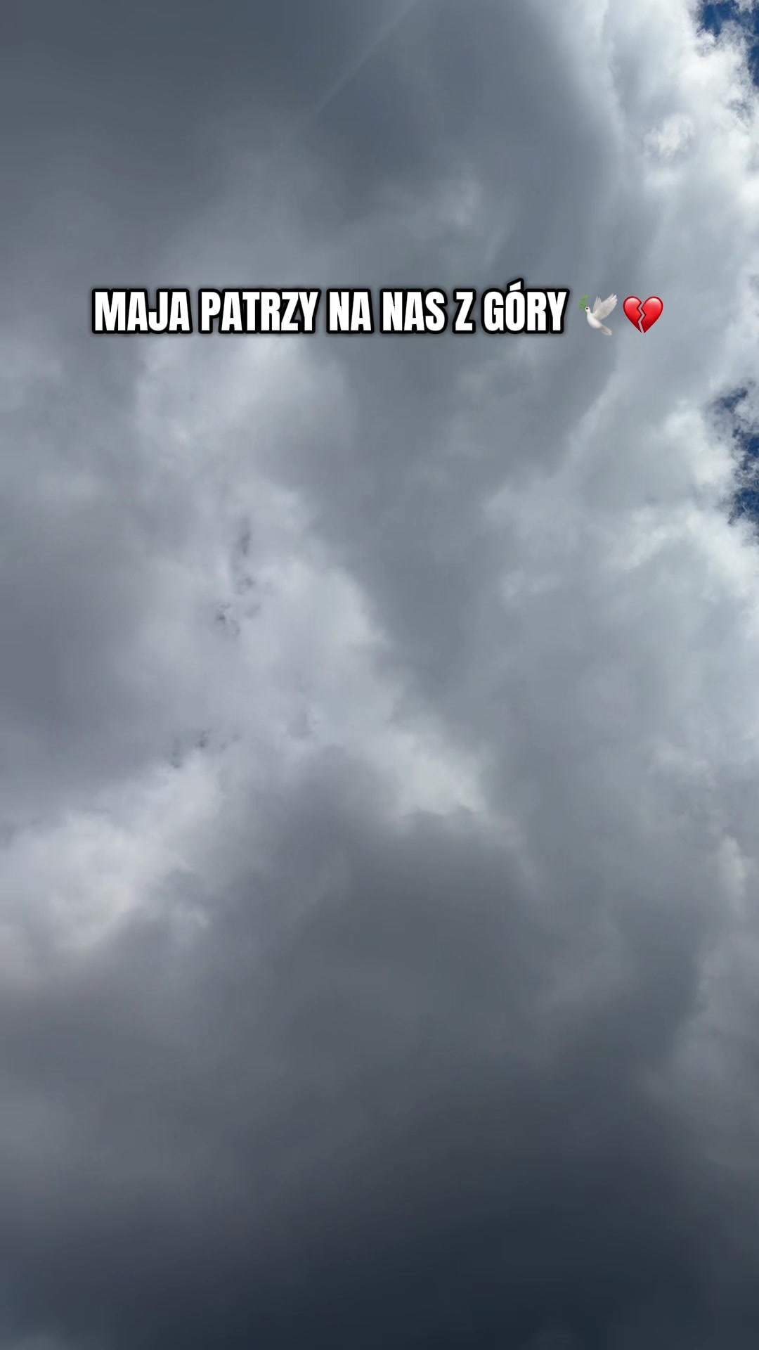 @DawidZet