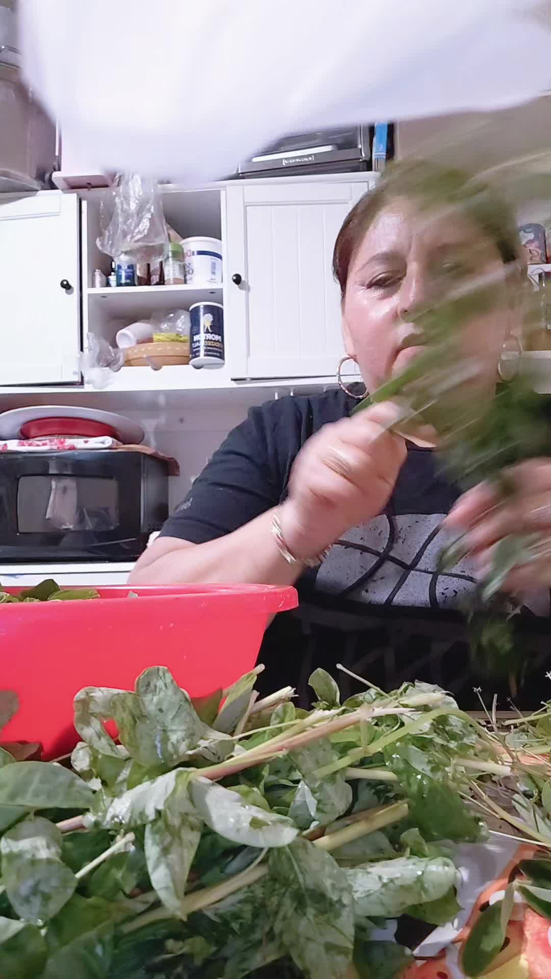 @eloisabello64