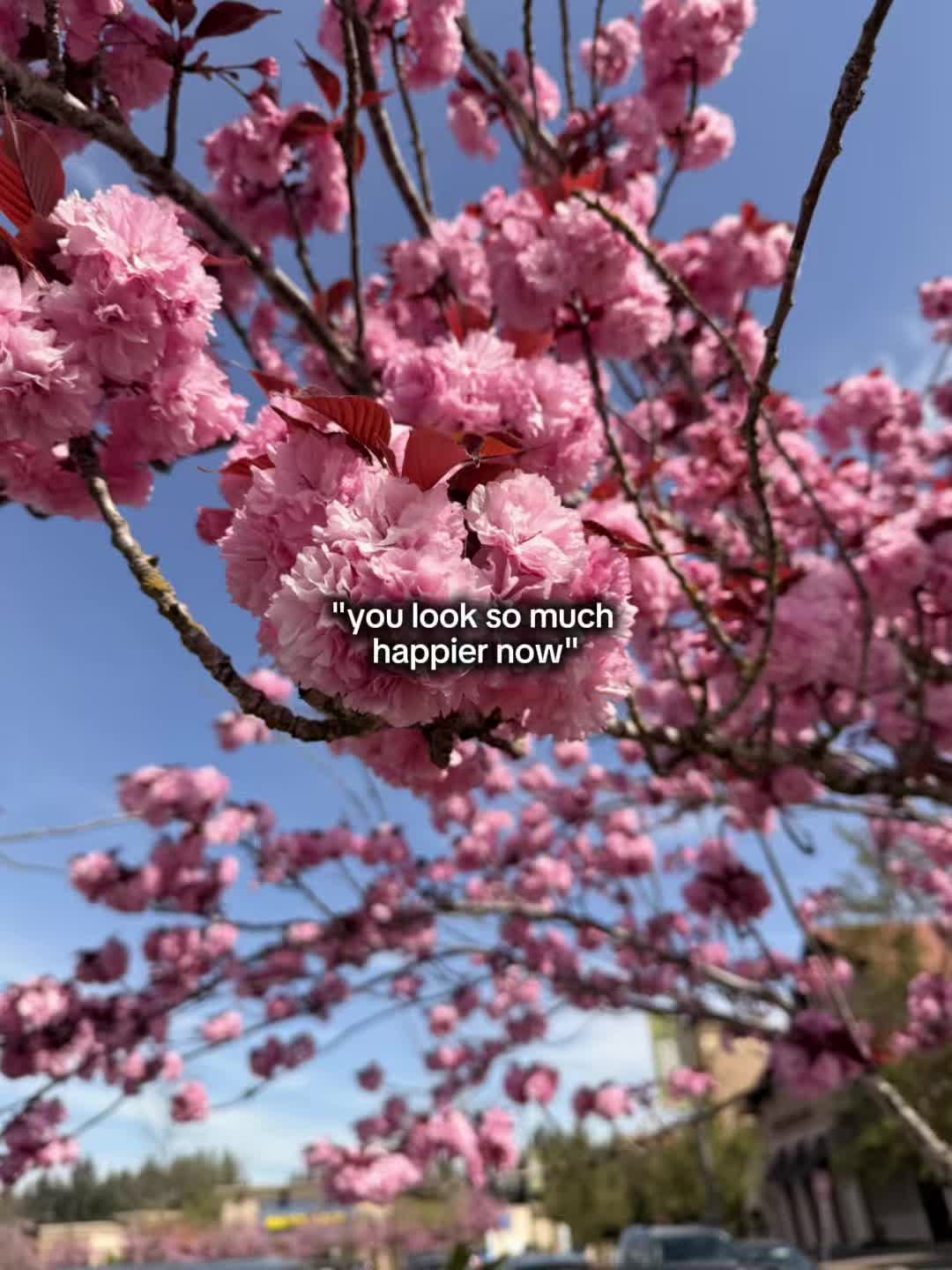 @noahfan8