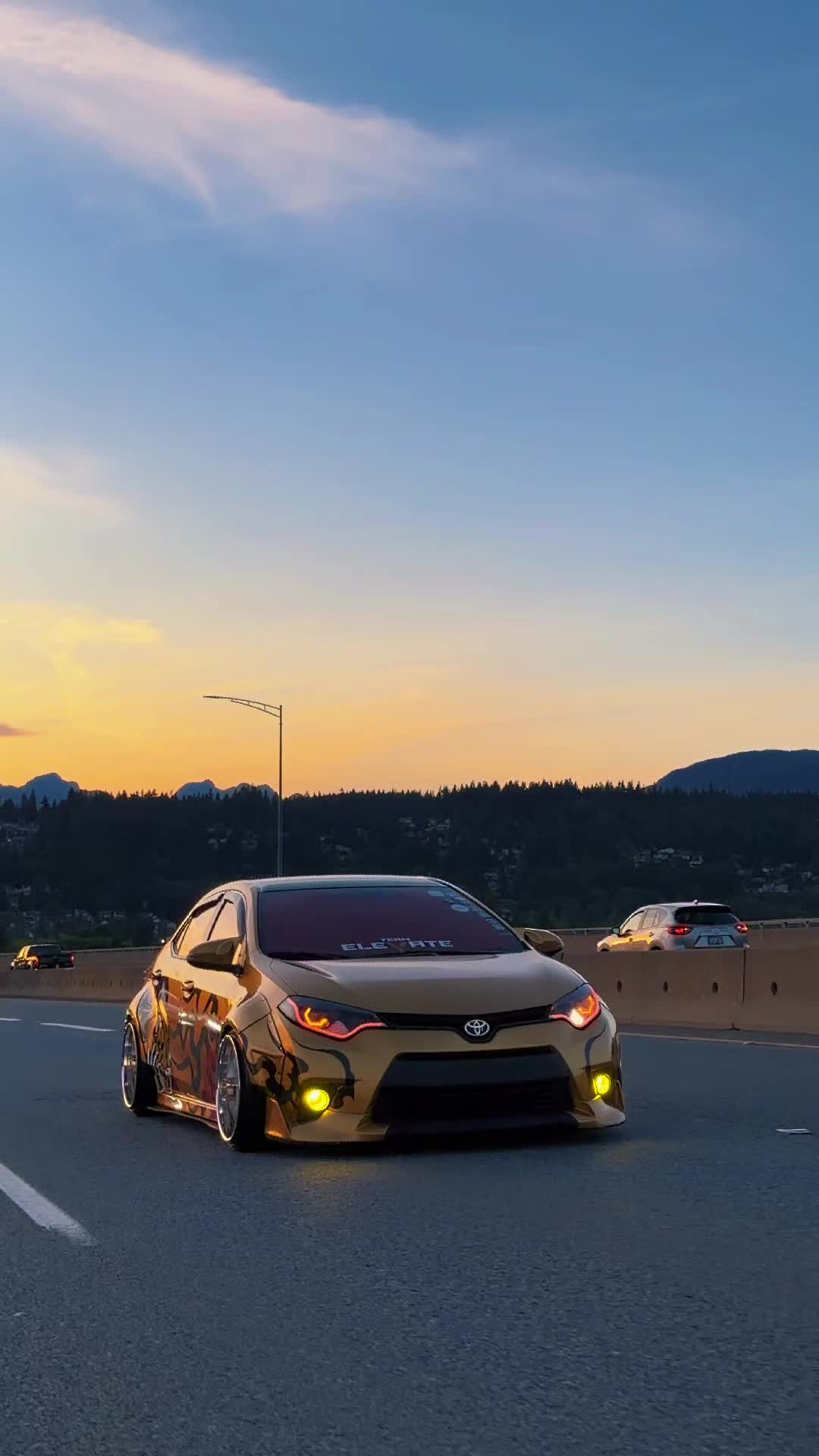 @Dat_bagged_rolla