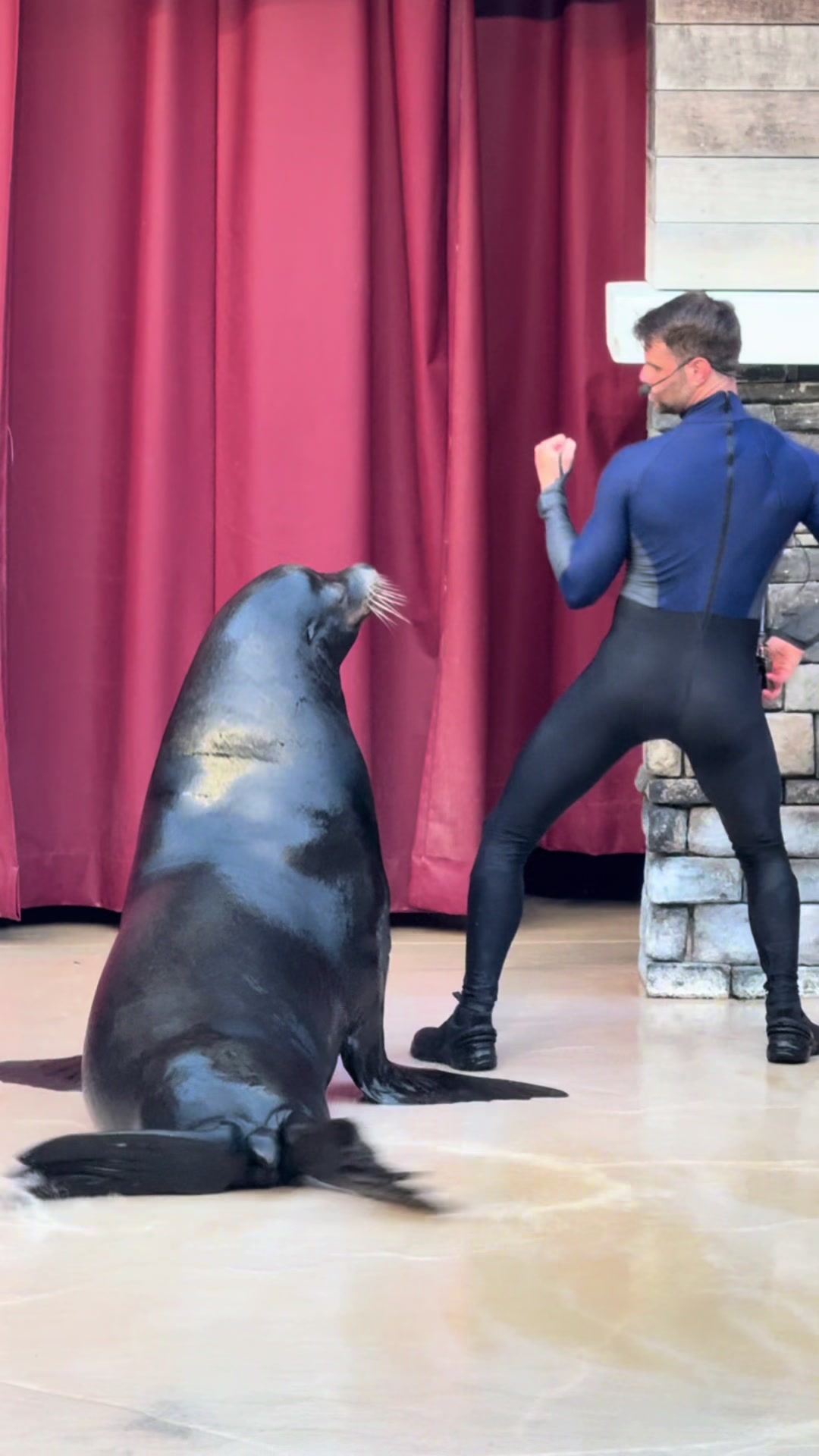 @OlivierSeaworld