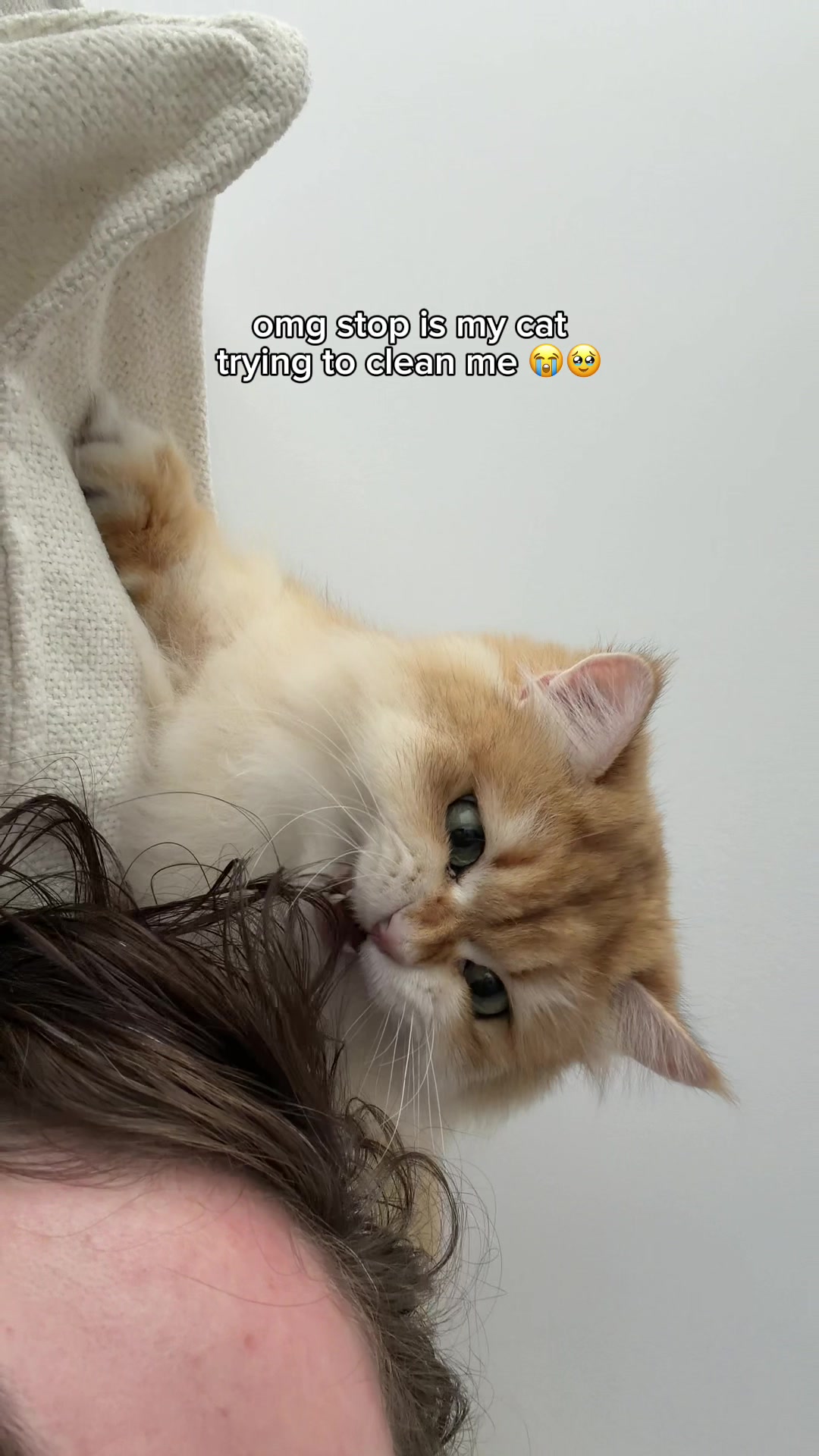 @Cleo the City Kitty