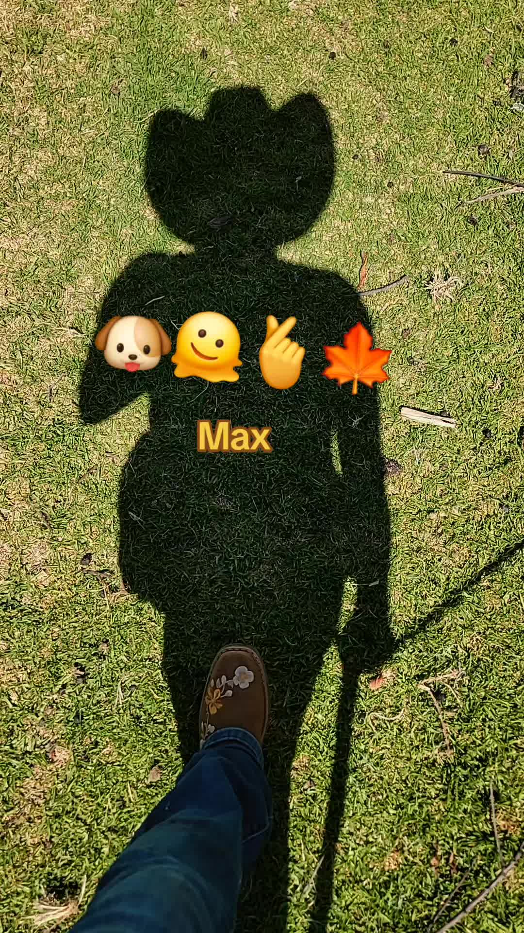 @E🤎V🍁G