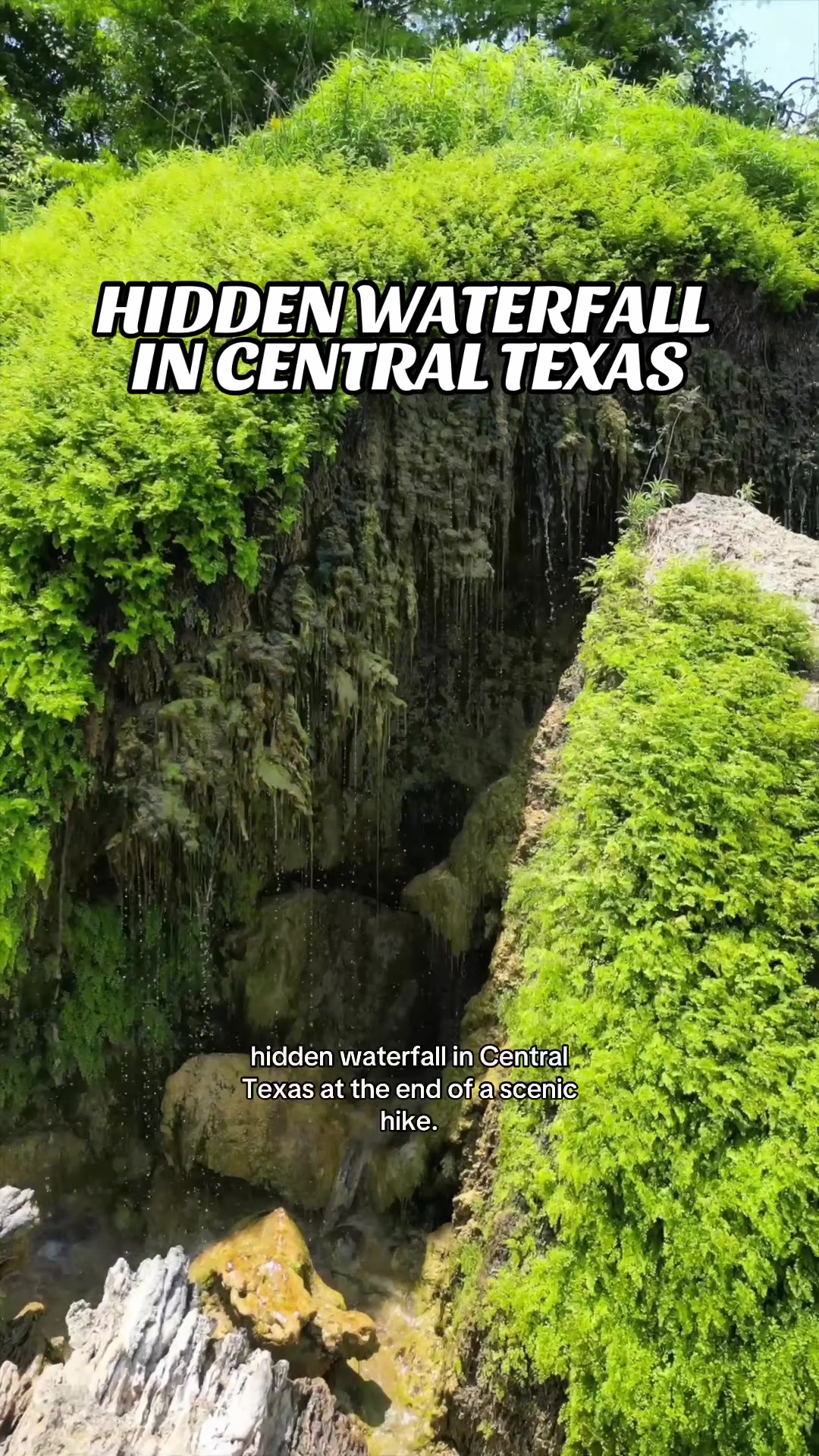 @Texas Love List