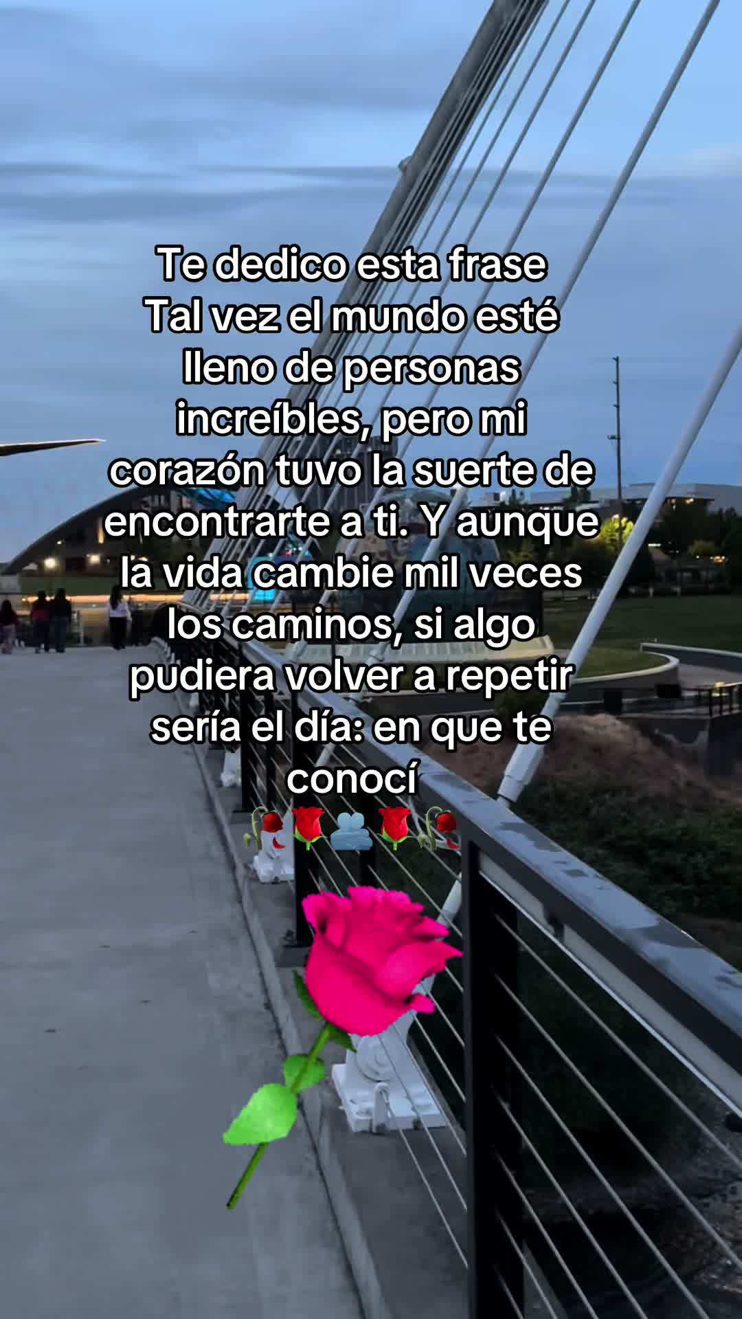 @pablocarbajal63