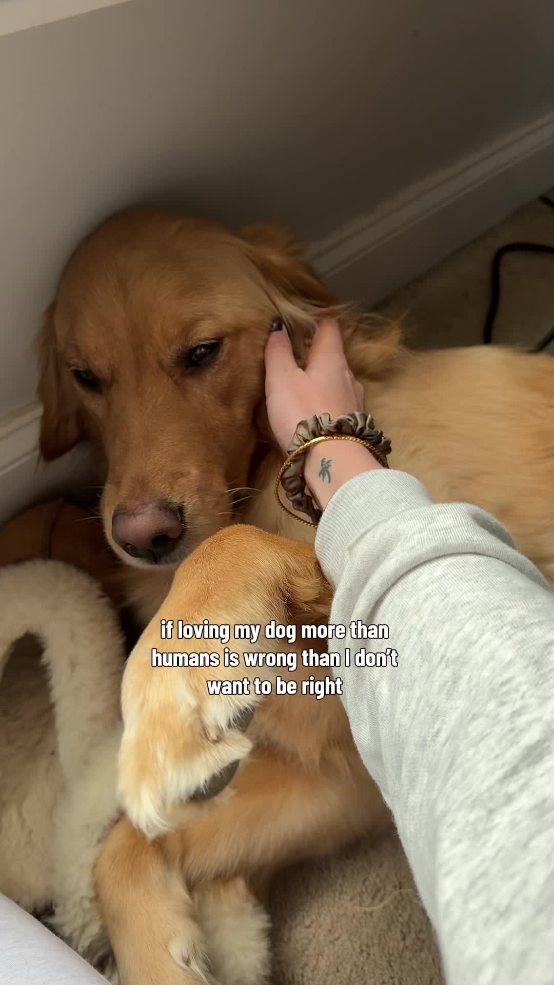 @Cash