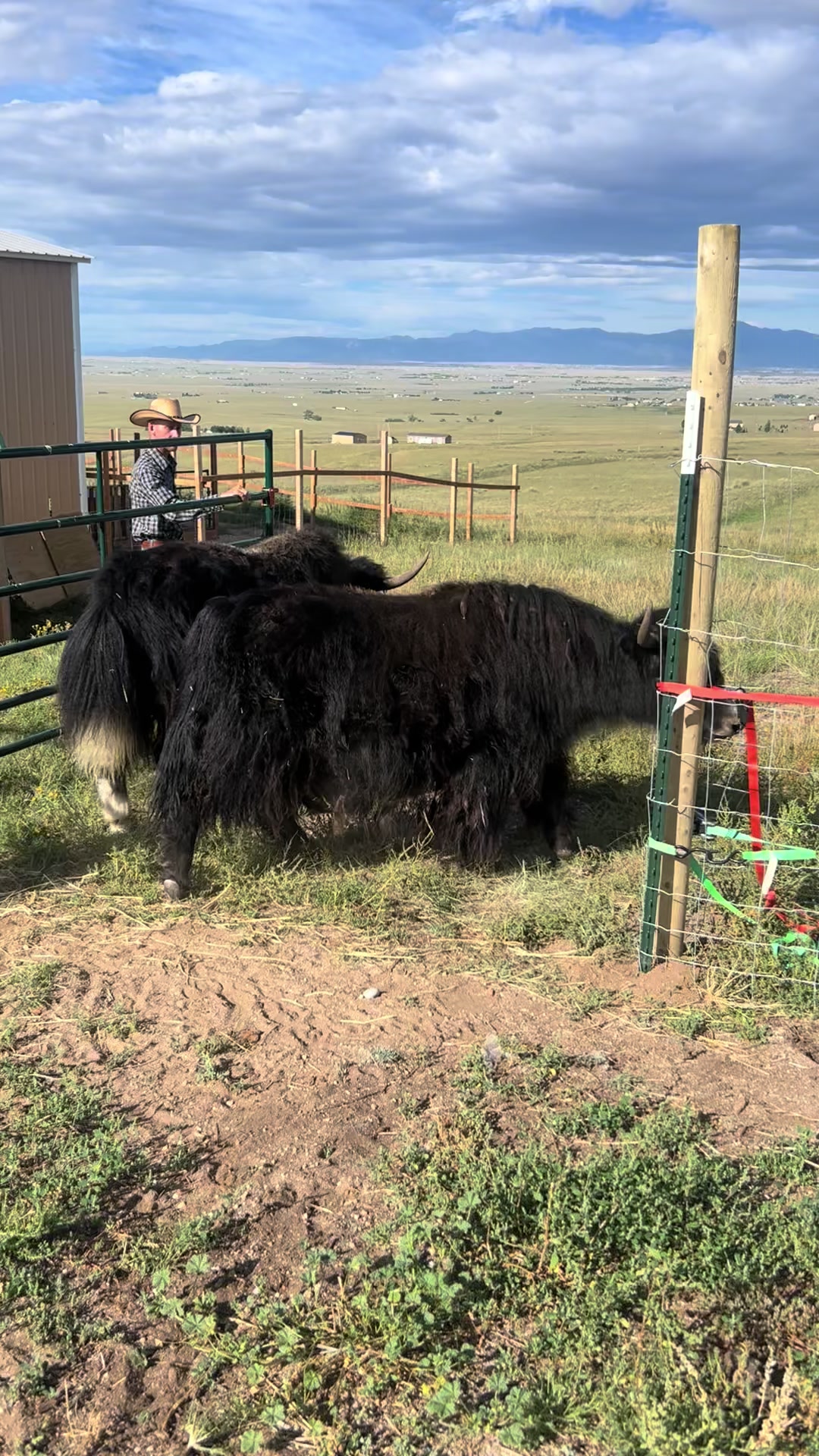 @Yakety Yak Ranch