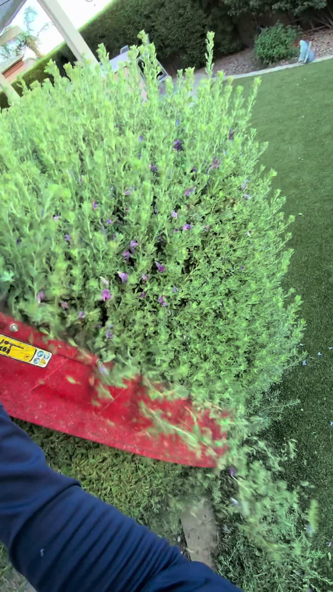 @landscaping