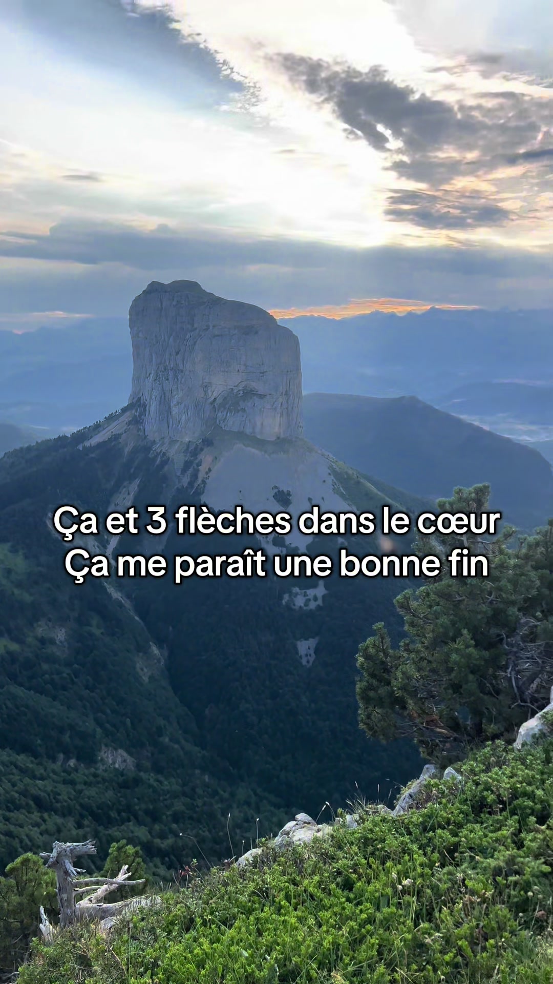 @leolmsl