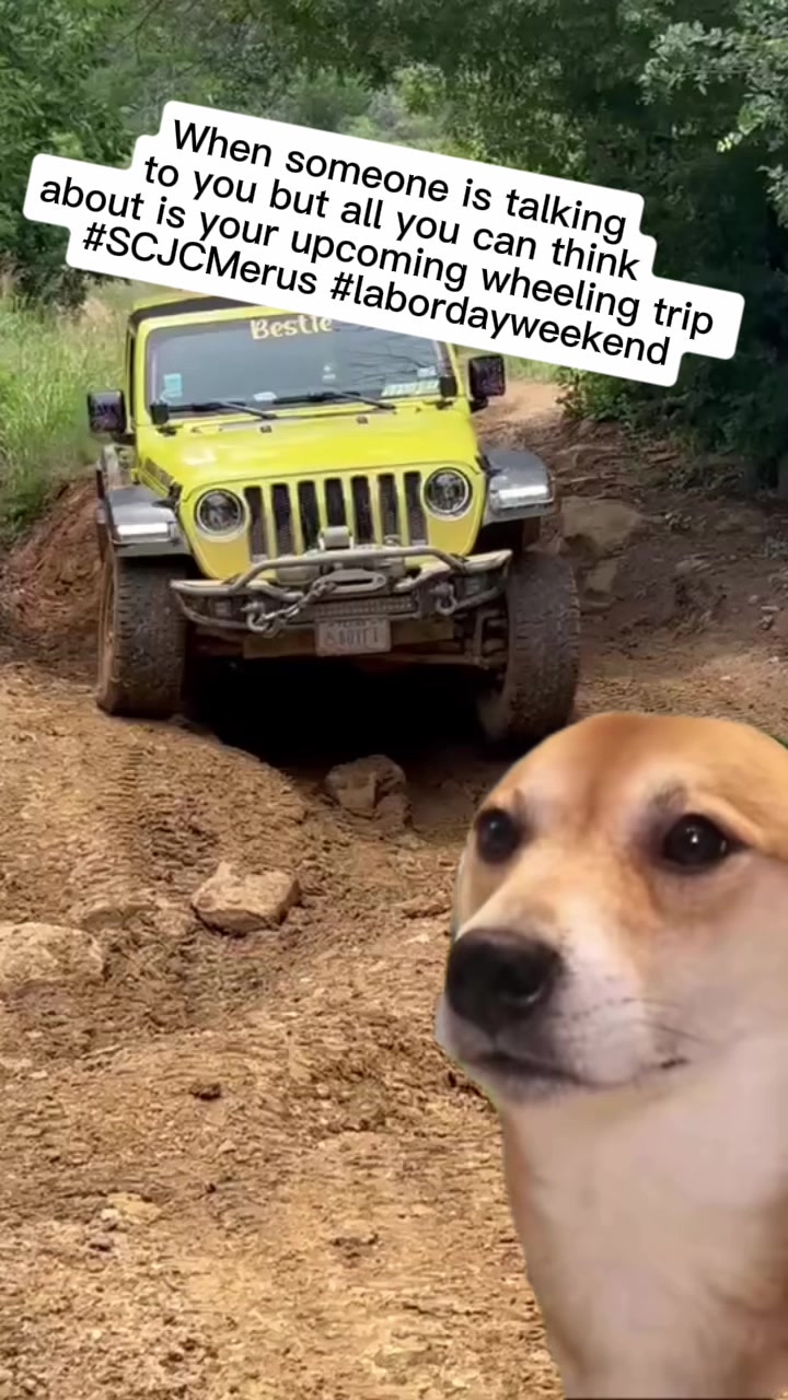 @HolliBari