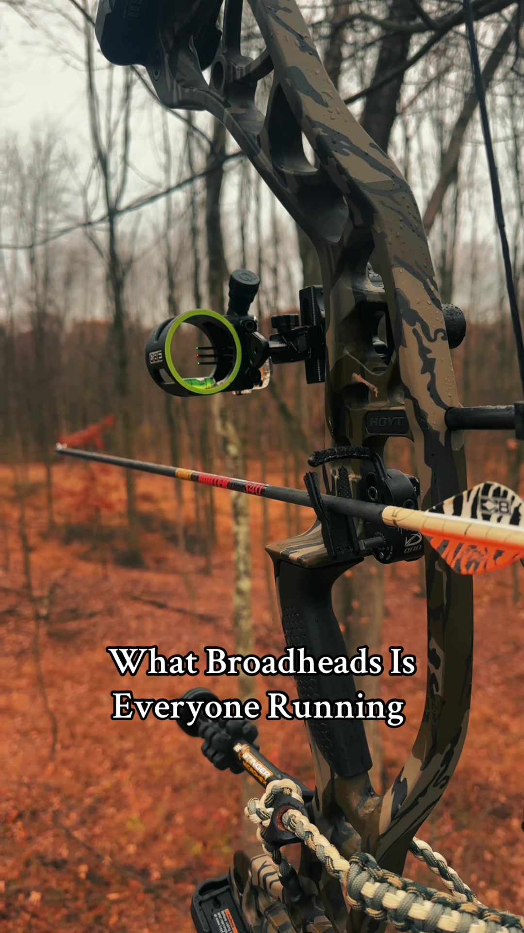 @LMN Fishing
