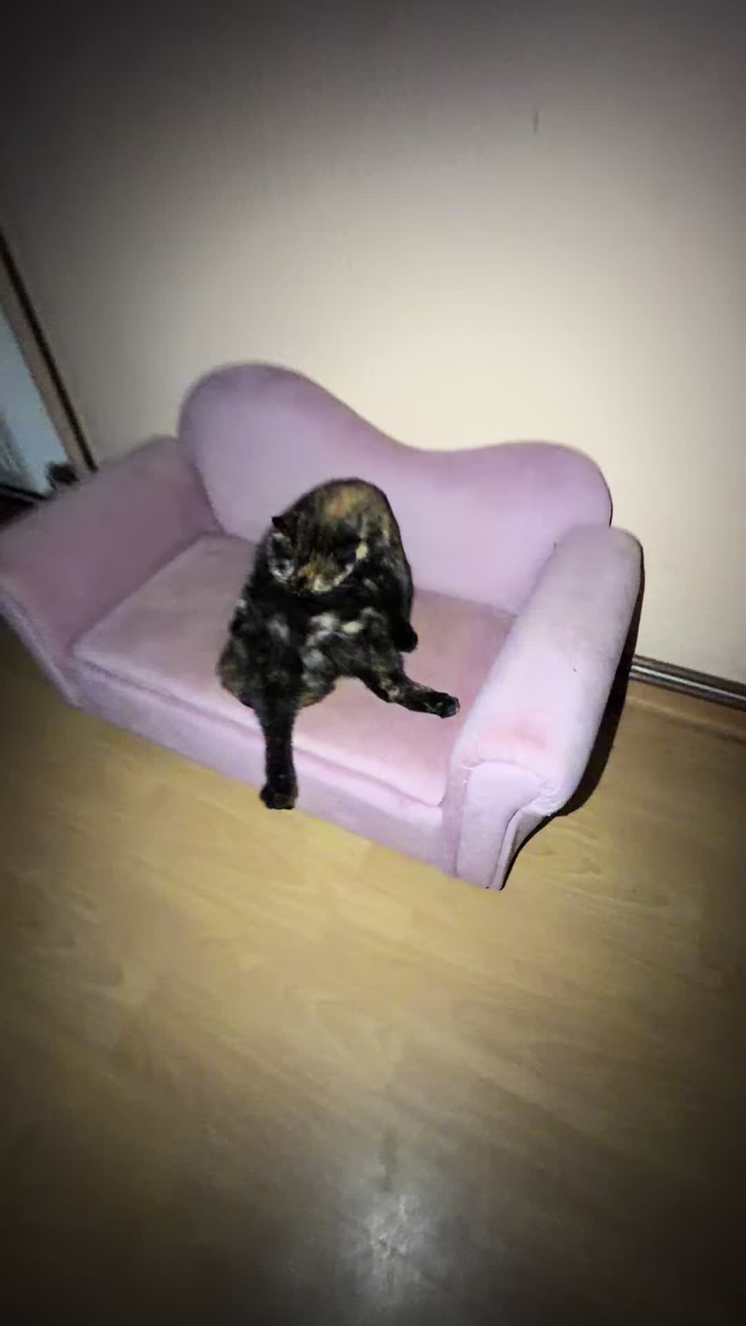 @★ʸᵘⁿᵃ ᵃⁿᵈ ᶠʳⁱᵉⁿᵈˢ★