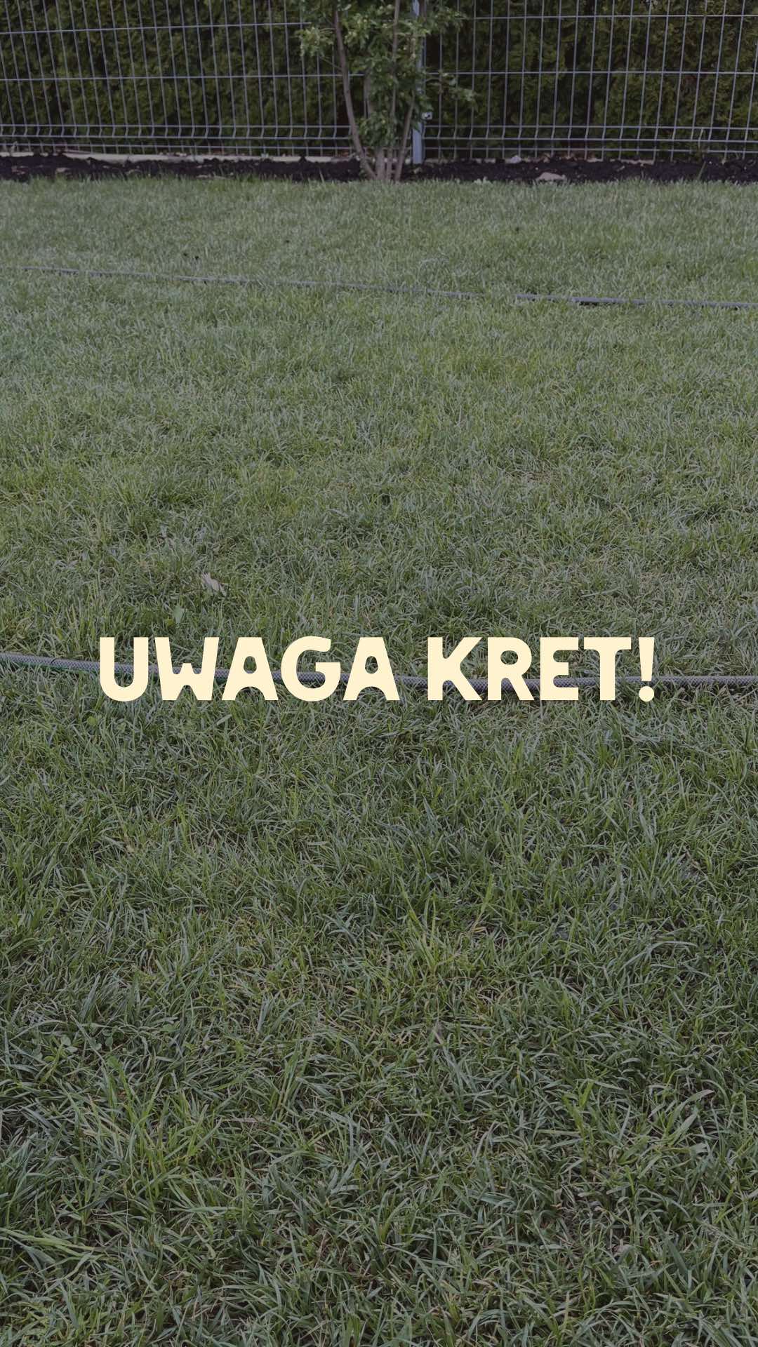 @Ogrodnik Doskonały
