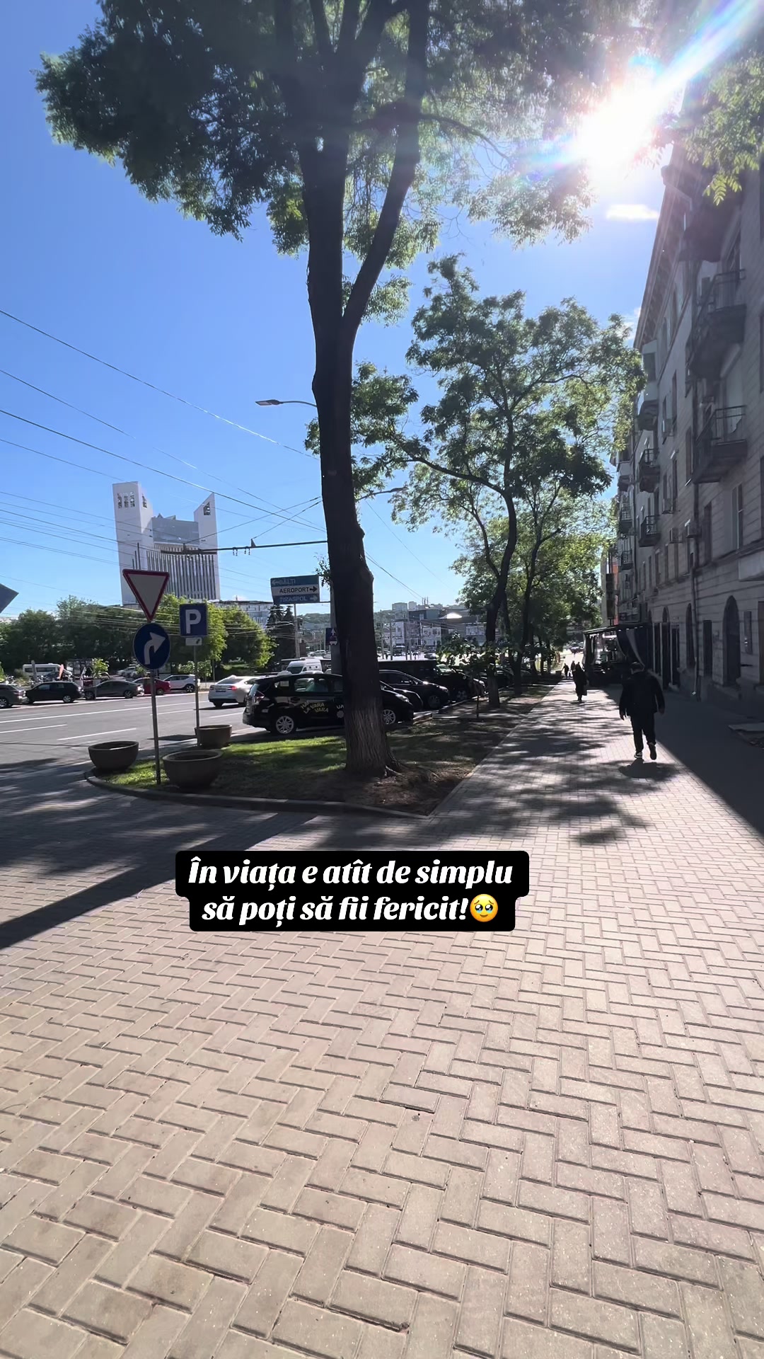 @Veronica Balan