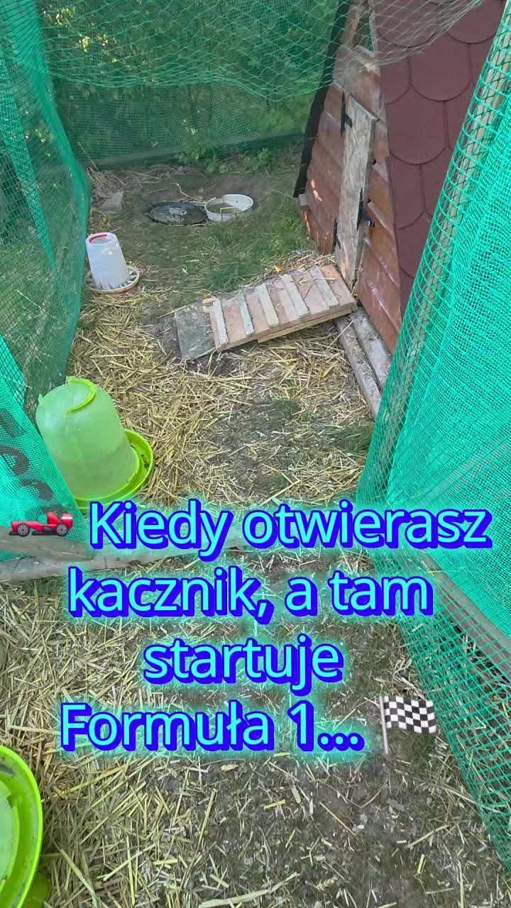 @@Kilarski.Prime