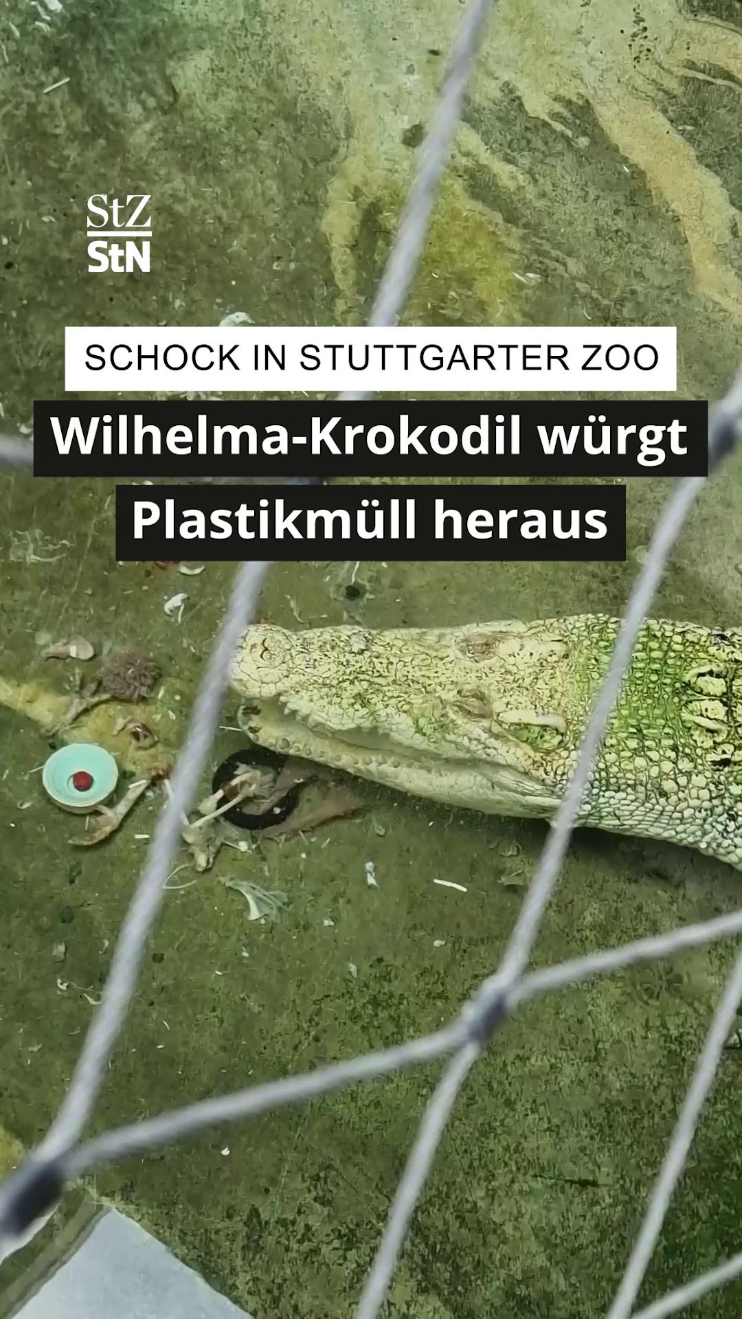 @StZ