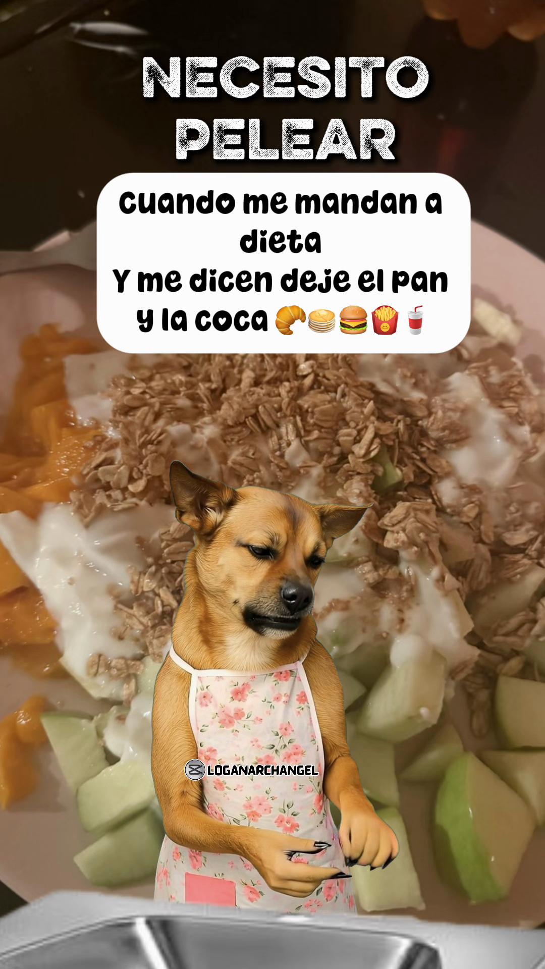 @sandyeleguacita