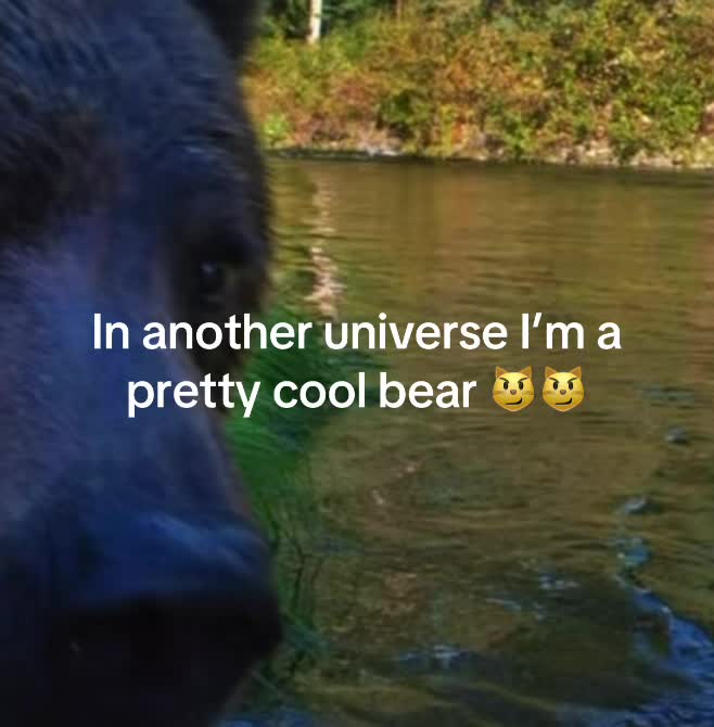 @llama