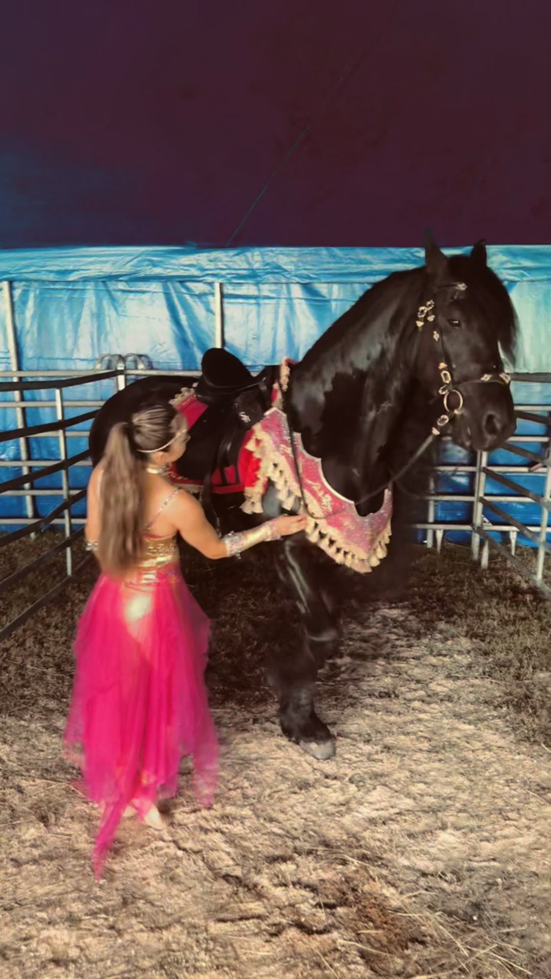 @Horses