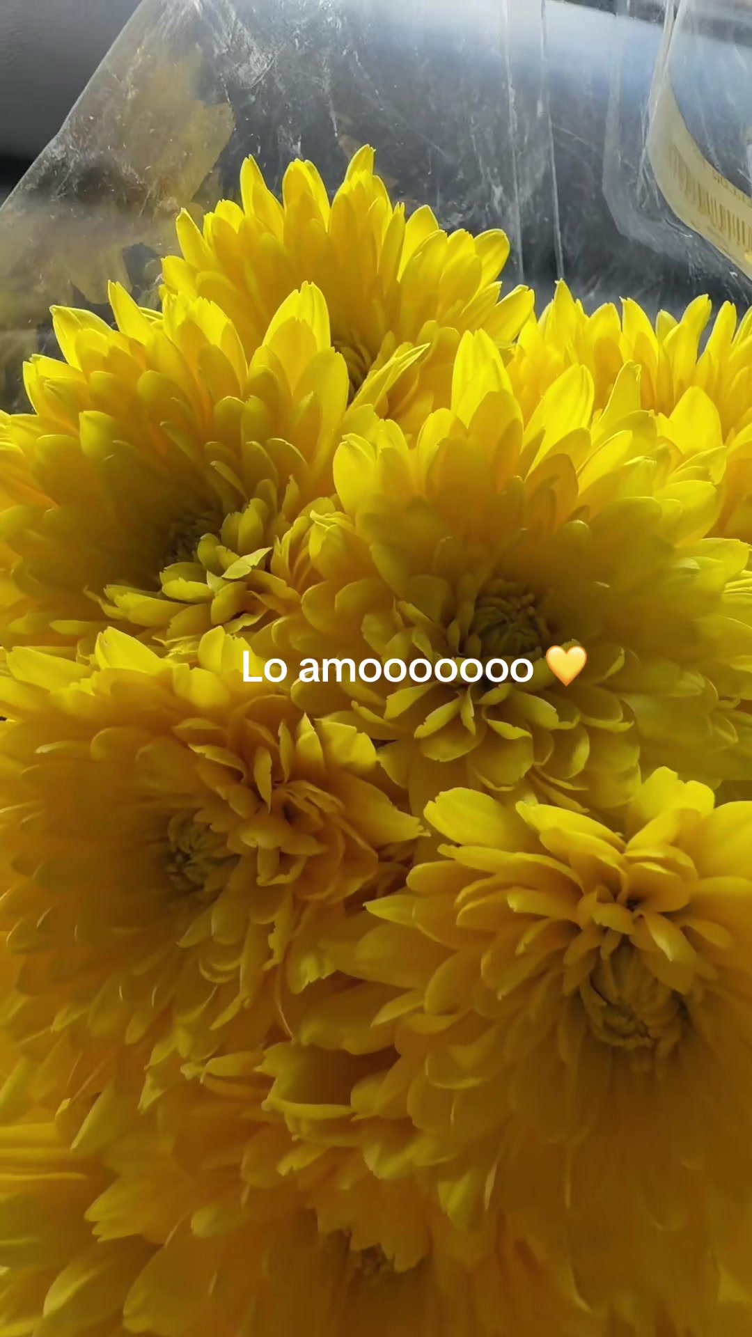 @Myrcy 🌺