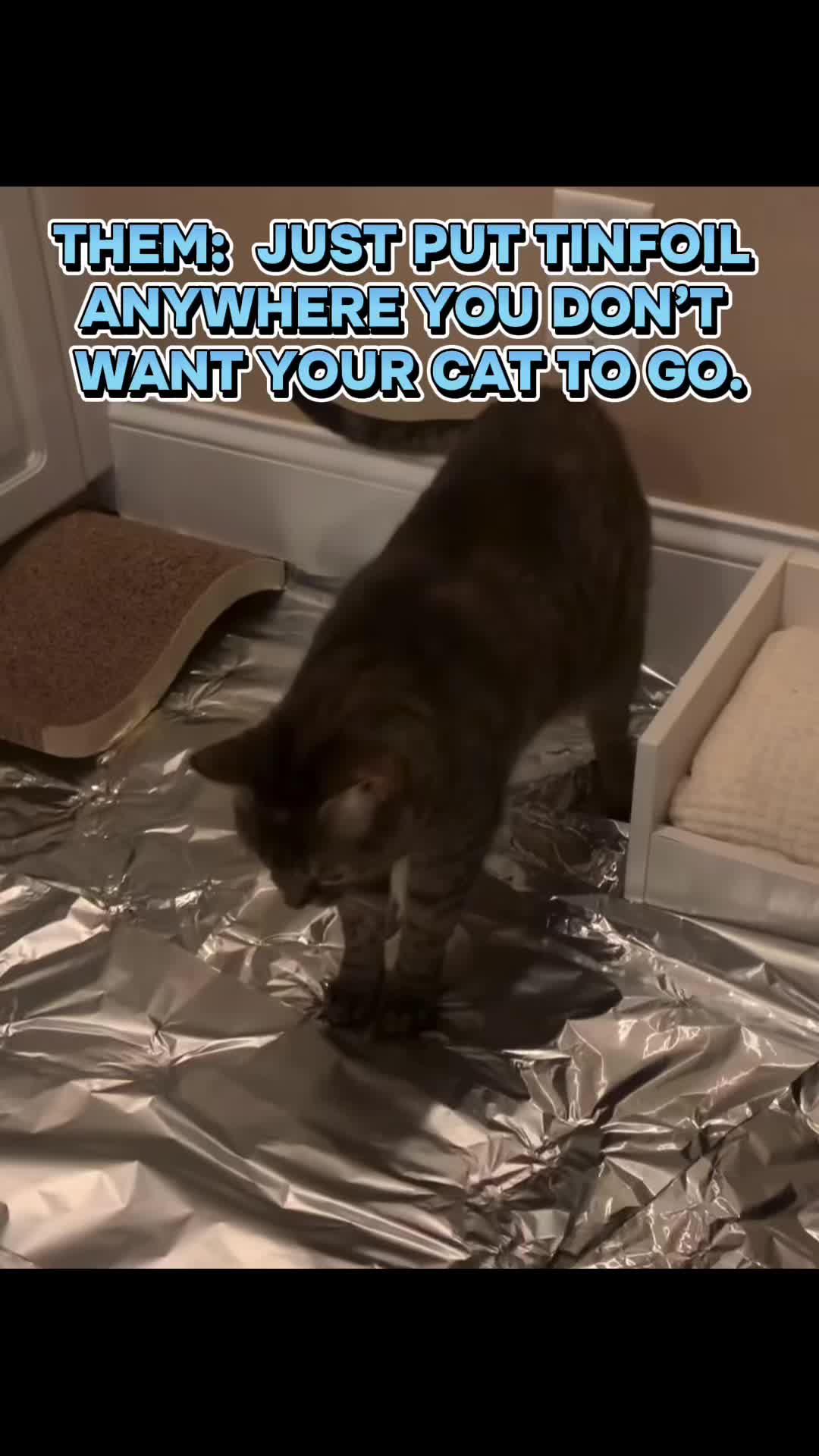 @WhatTheActualKaren