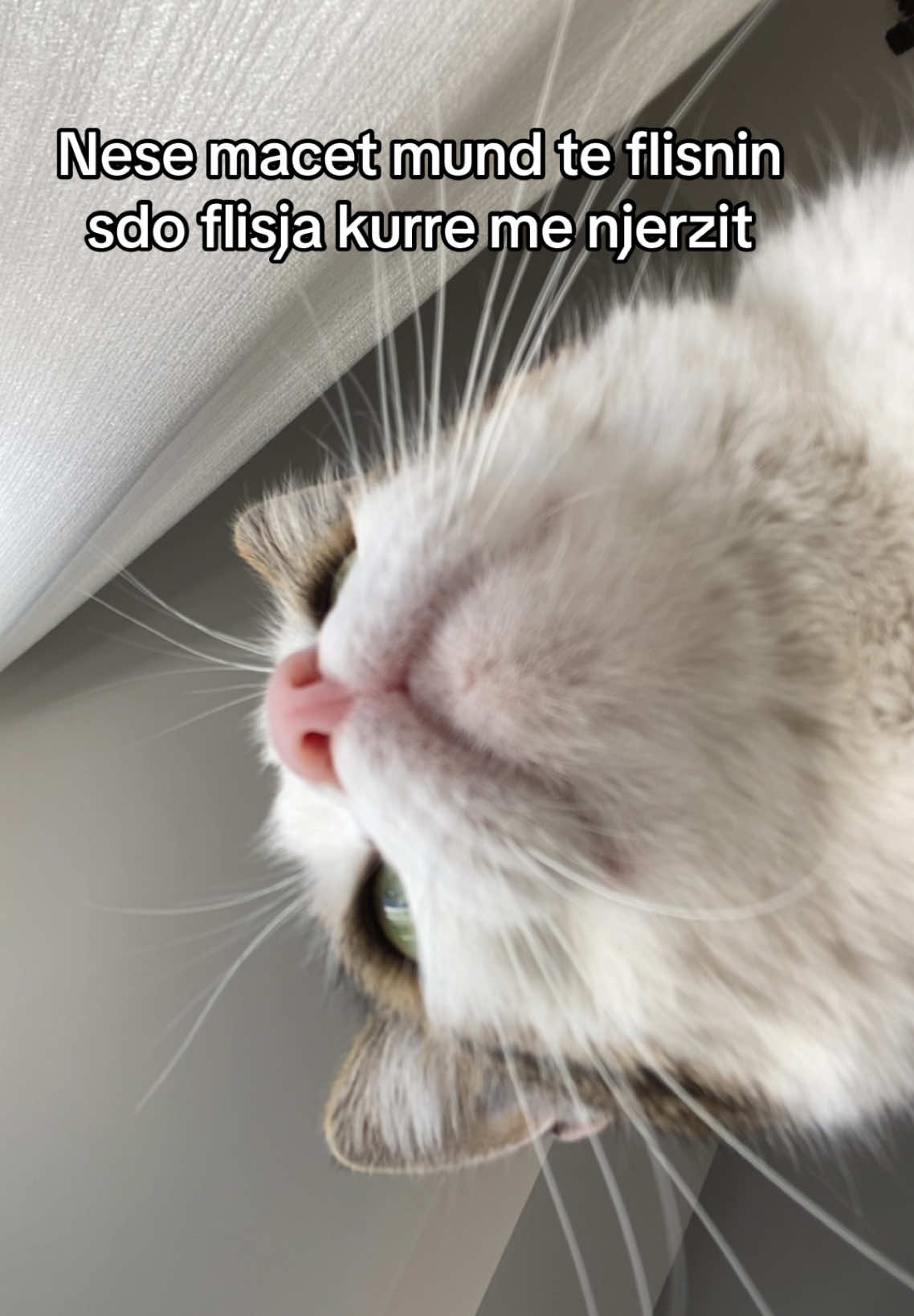 @Kiki