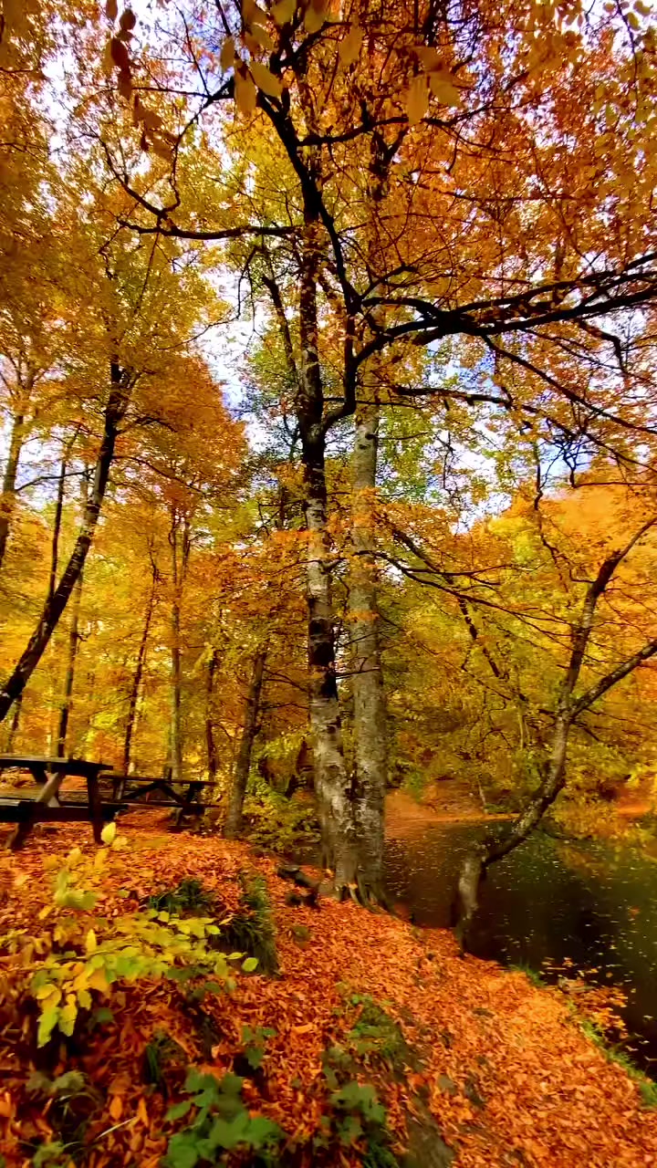 @Kasıb qız.... 😔