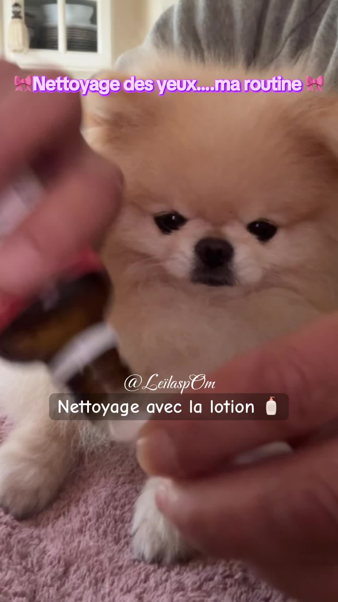 @🎀Leïla’spOm🎀